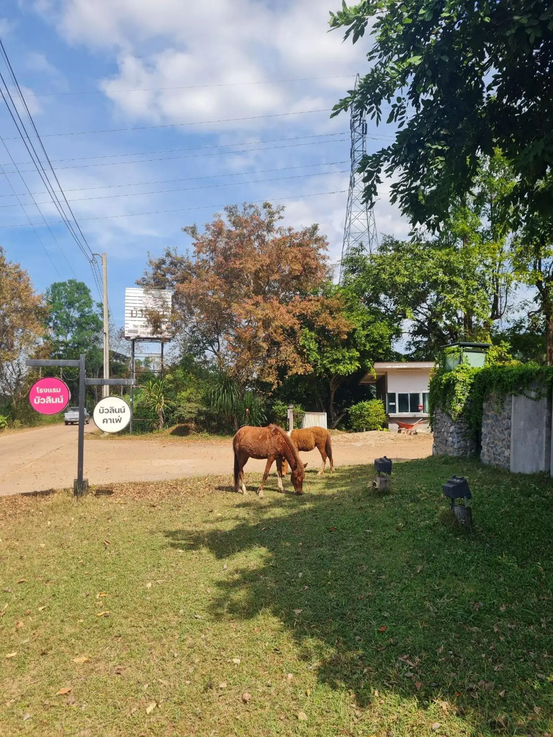 Facade/entrance in Bualinn Resort Facade/entrance in Bualinn Resort