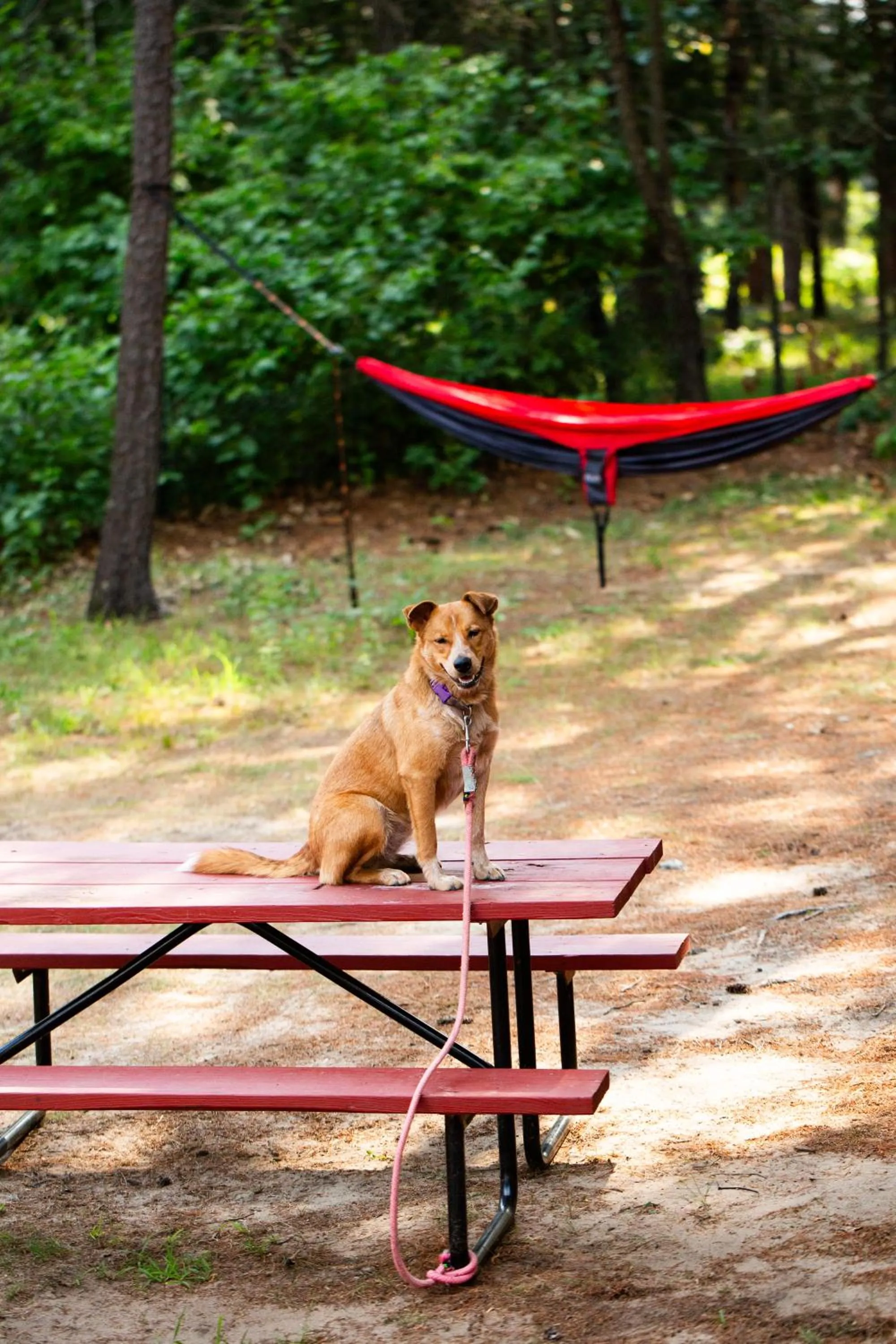 Bonanza Camping Resort