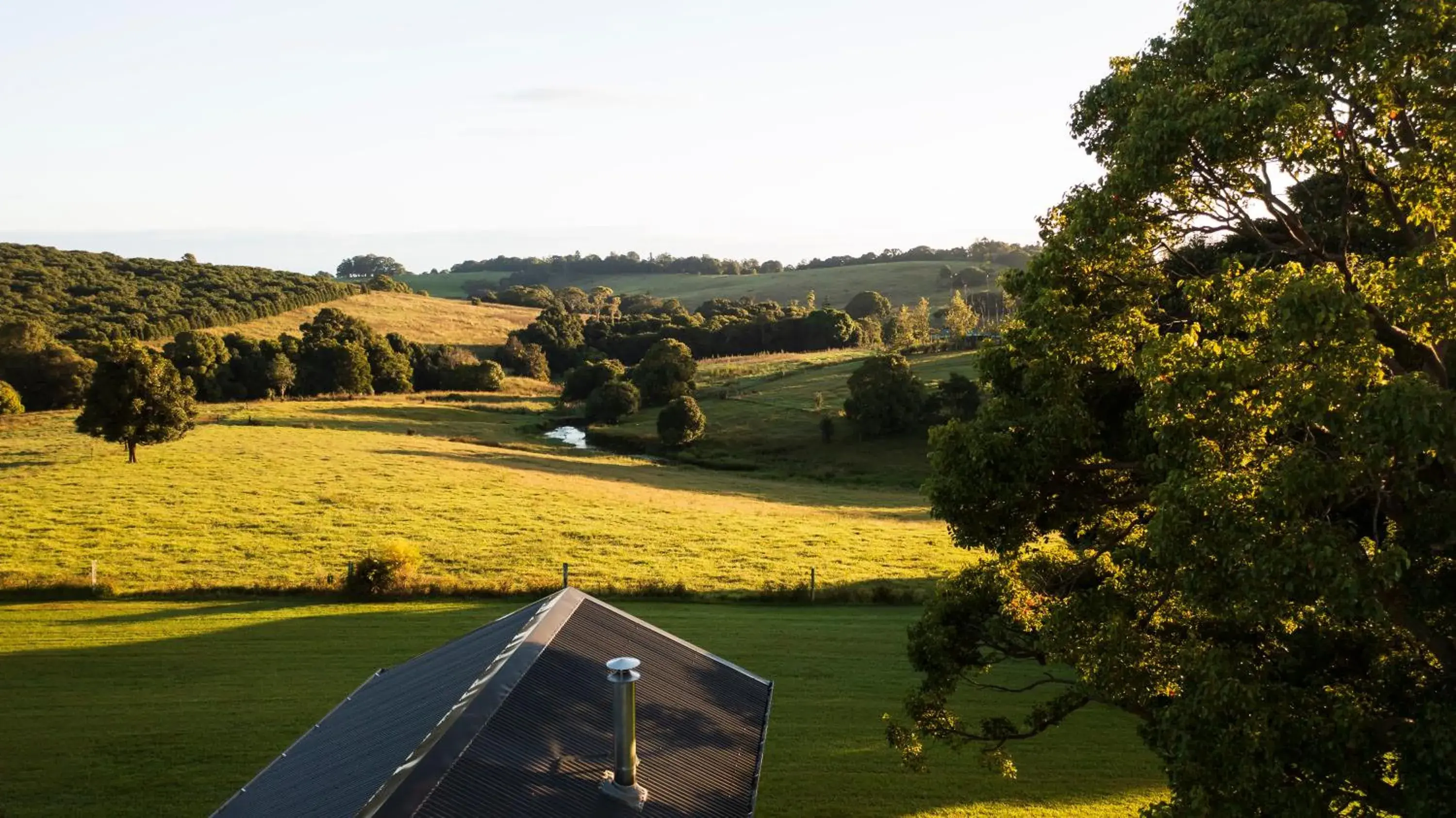 Mountain view in Beechmont Estate Mountain view in Beechmont Estate
