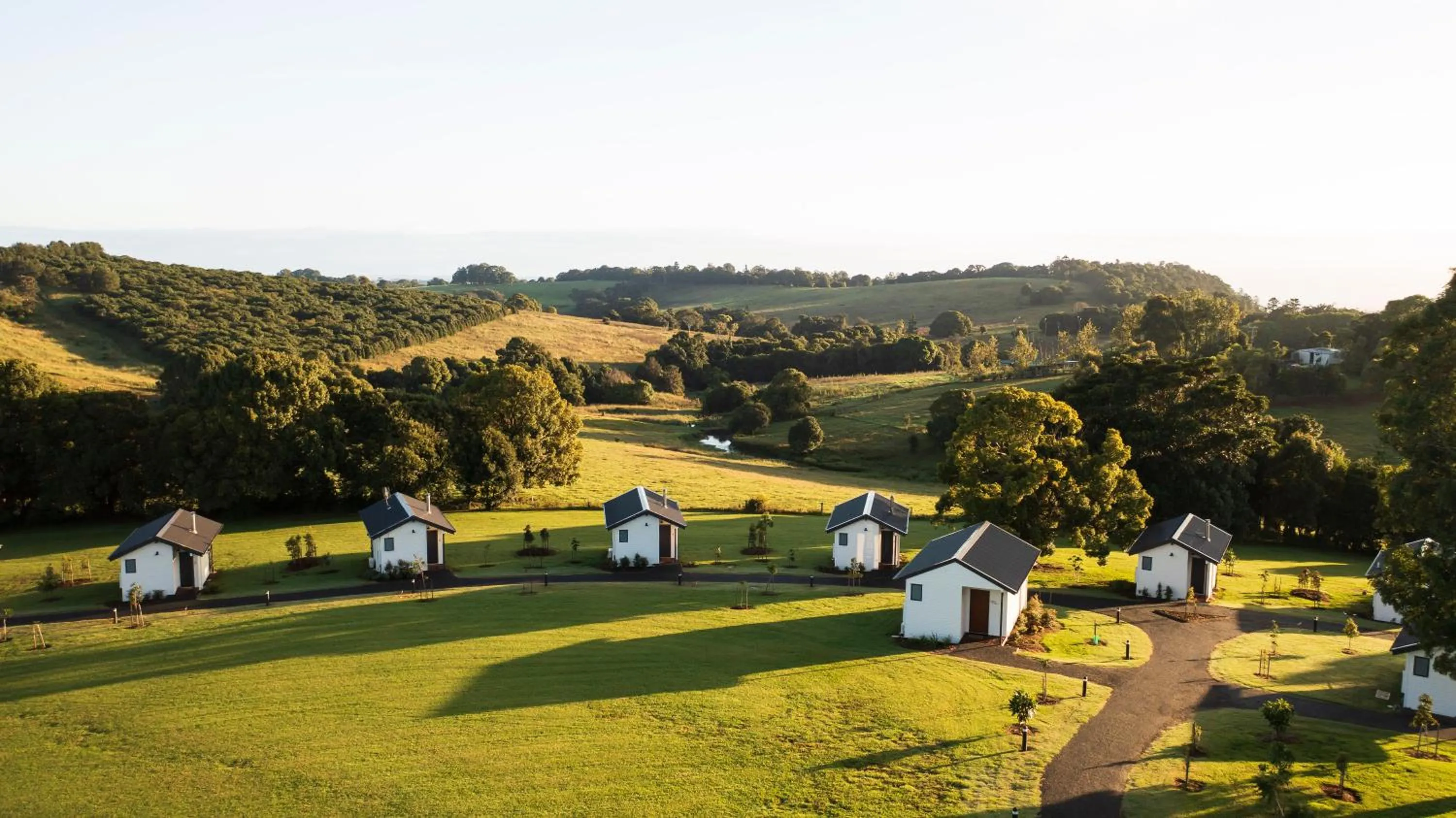 View (from property/room) in Beechmont Estate