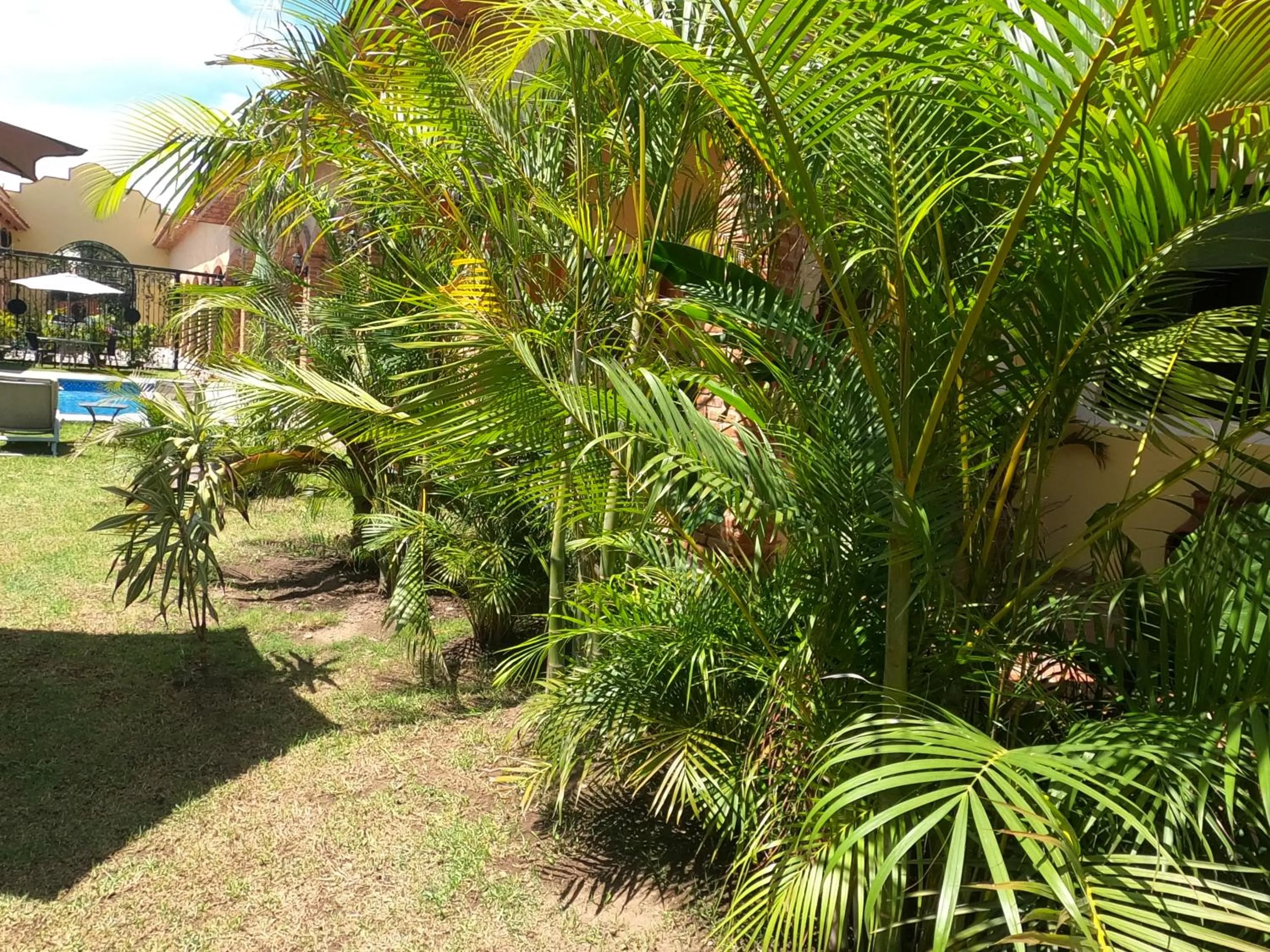 Hotel Boutique Sol y Luna SPA