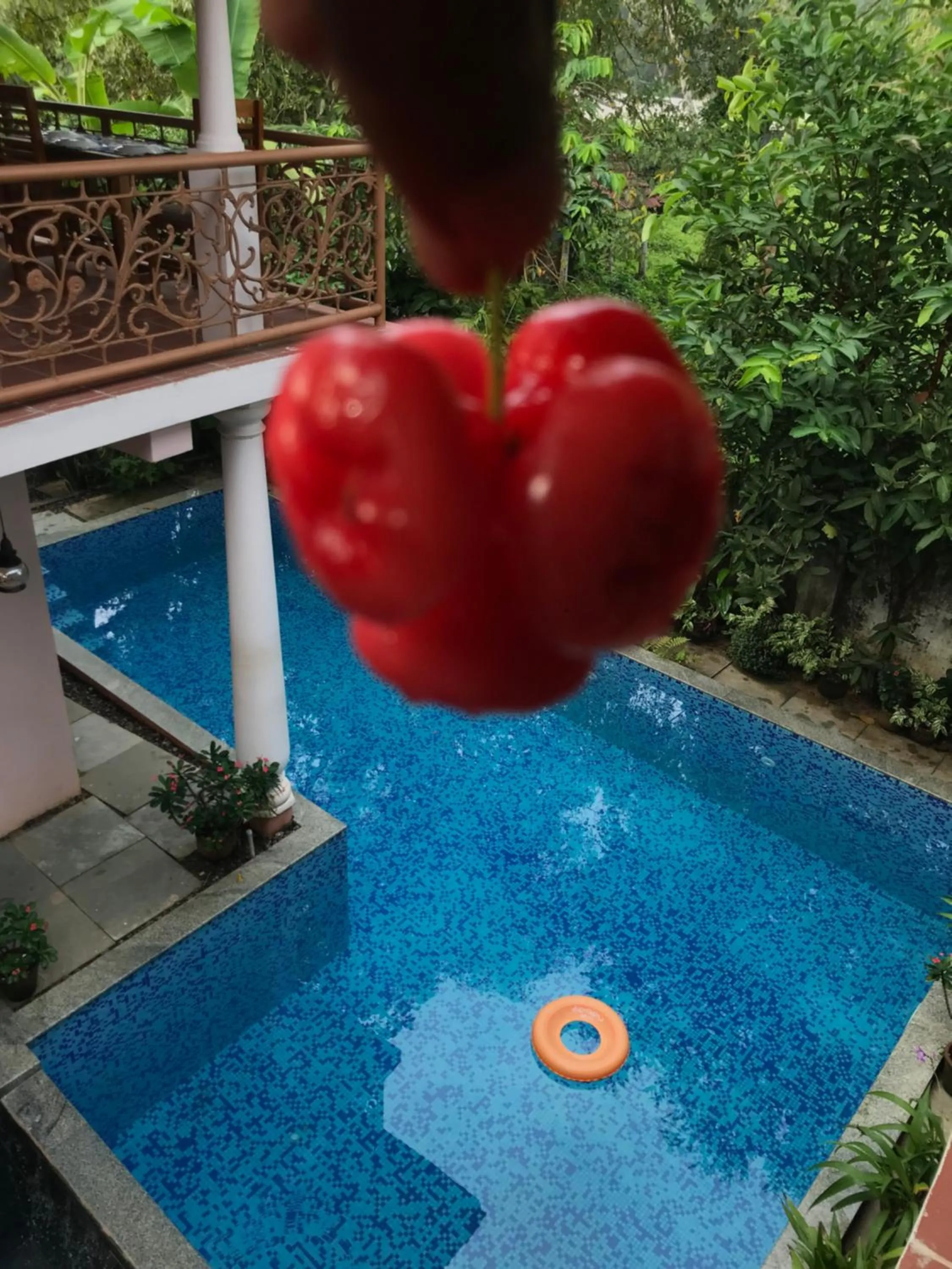 Garden view in Mandaram villas