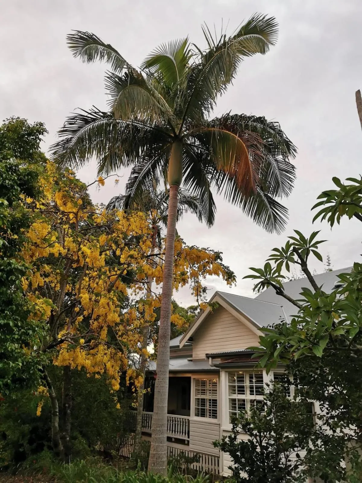 Arcadia House