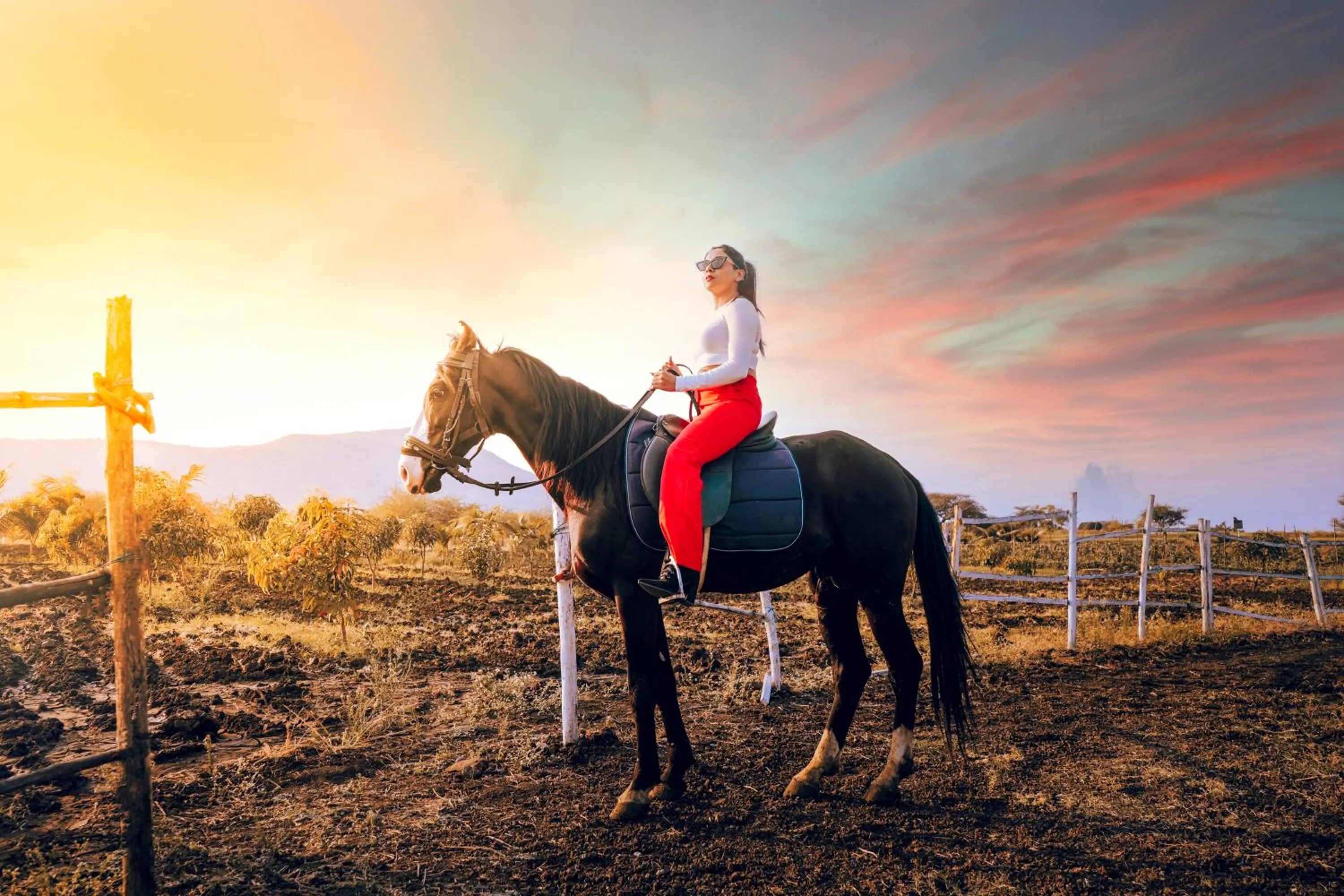 Day in THE EARTH FARM