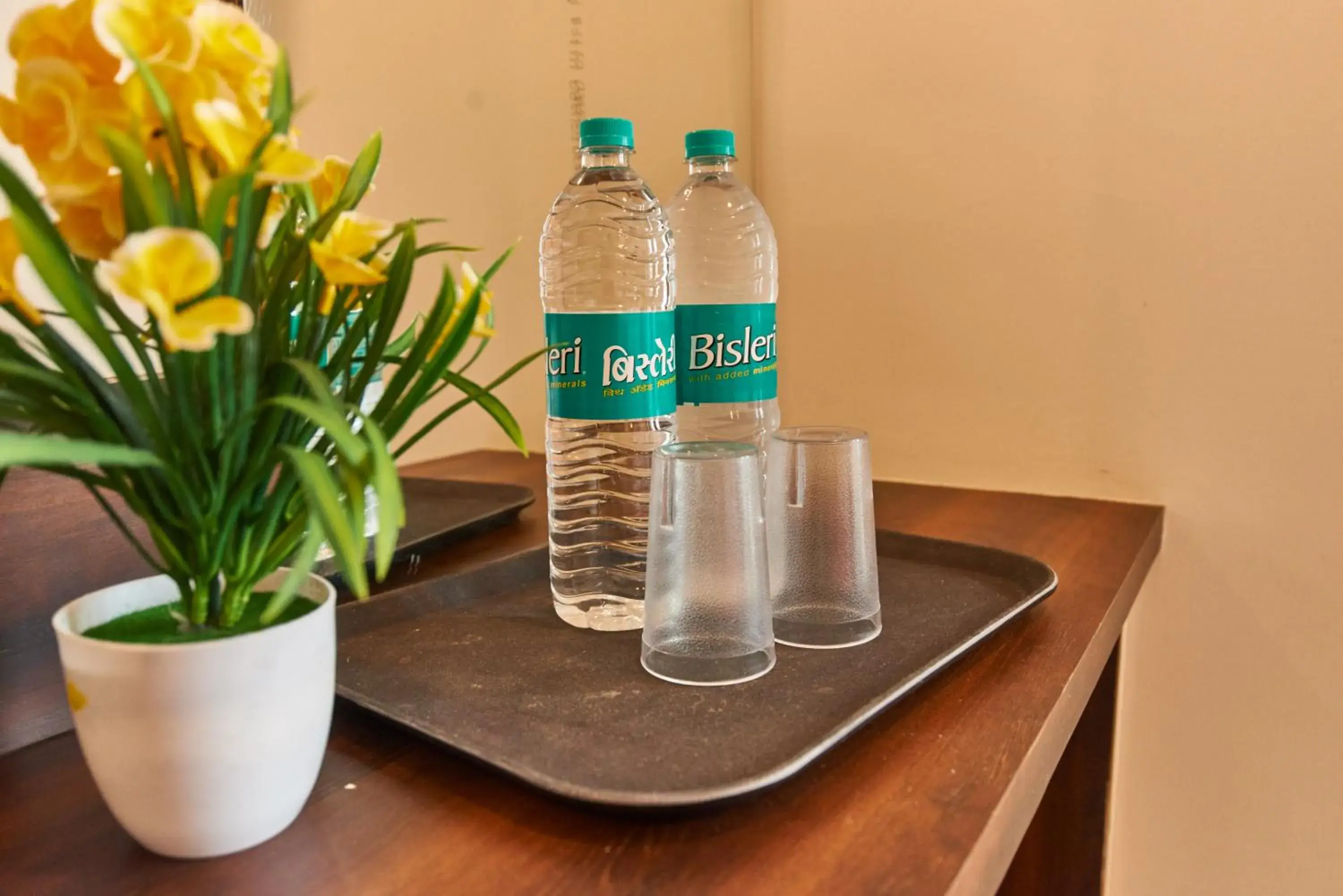 Drinks in Hotel Disha Palace Drinks in Hotel Disha Palace