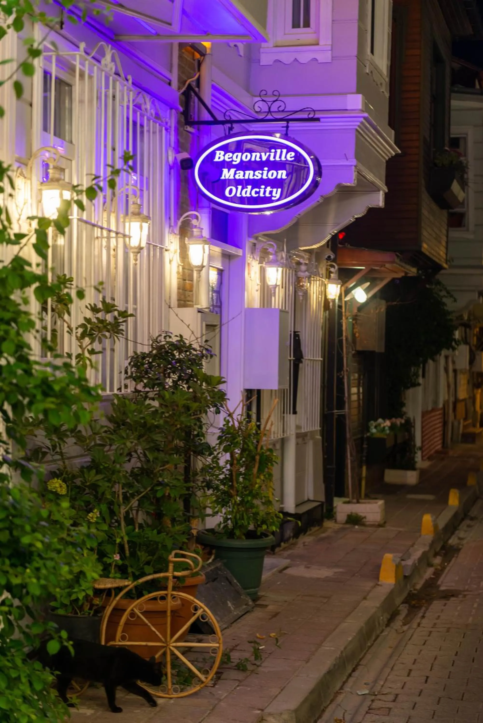 Begonville Mansion Oldcity