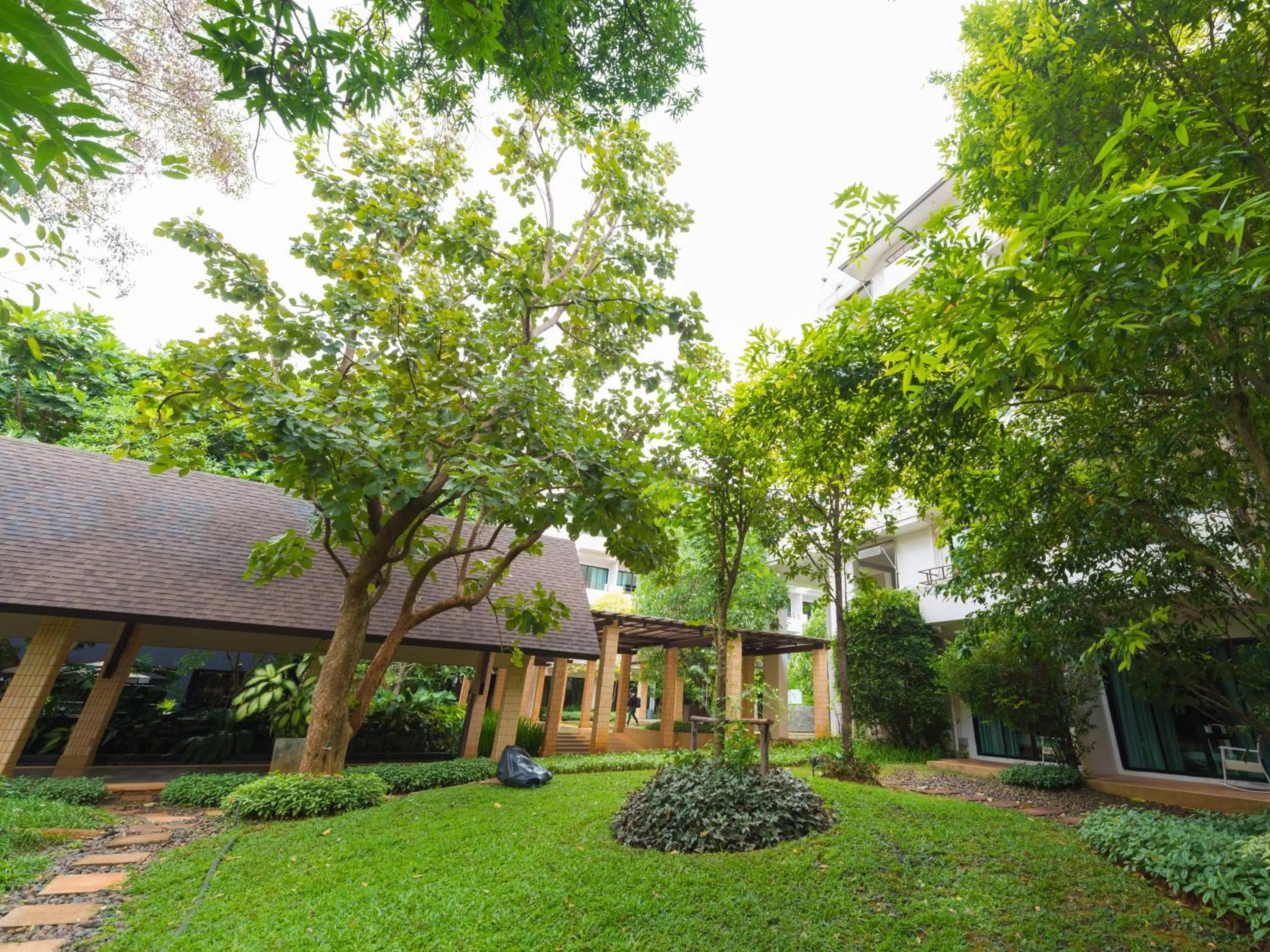 Garden view in The Greenery Resort Khao Yai