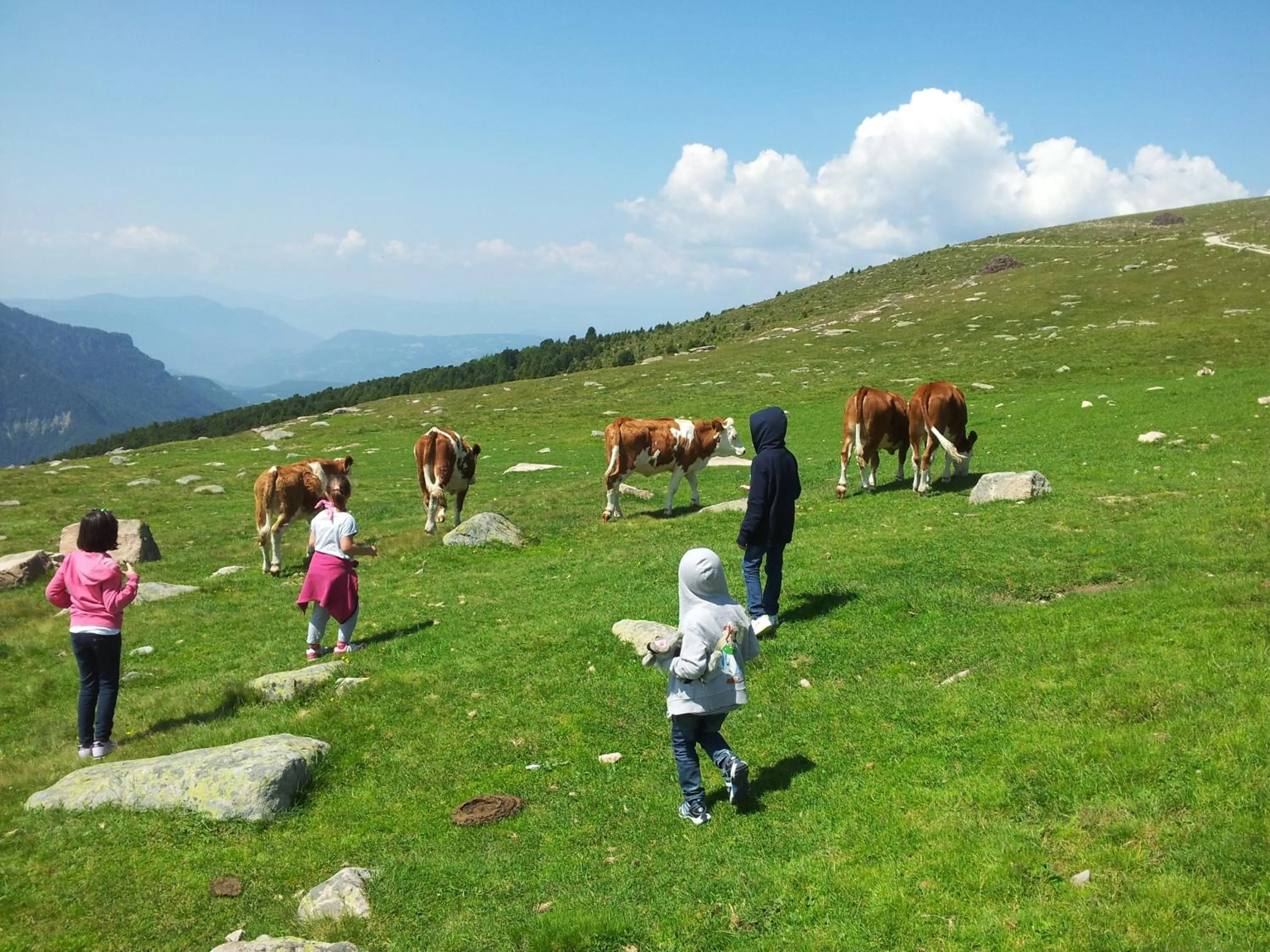 Animals in Casa Santa Maria