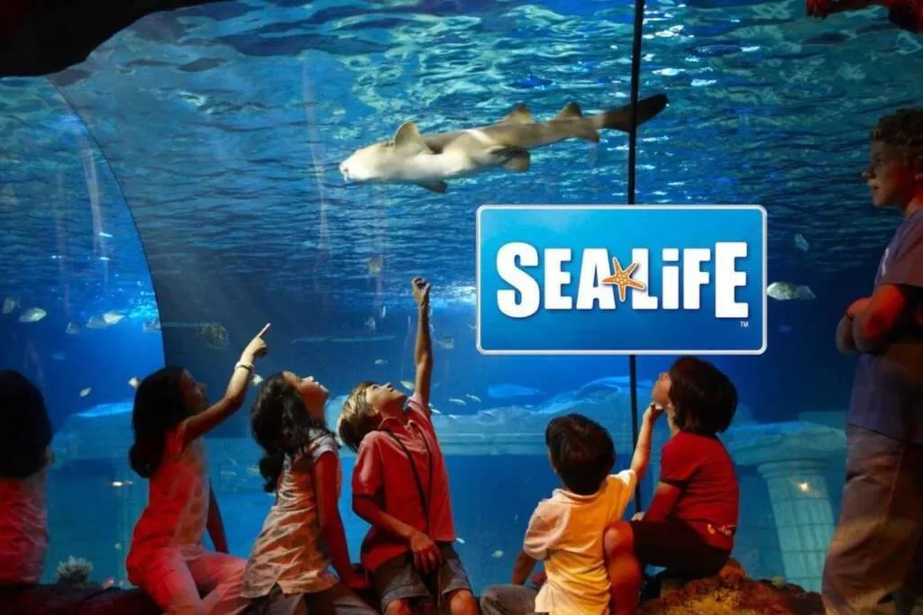 Entertainment in Arty Paris apartment Disneyland