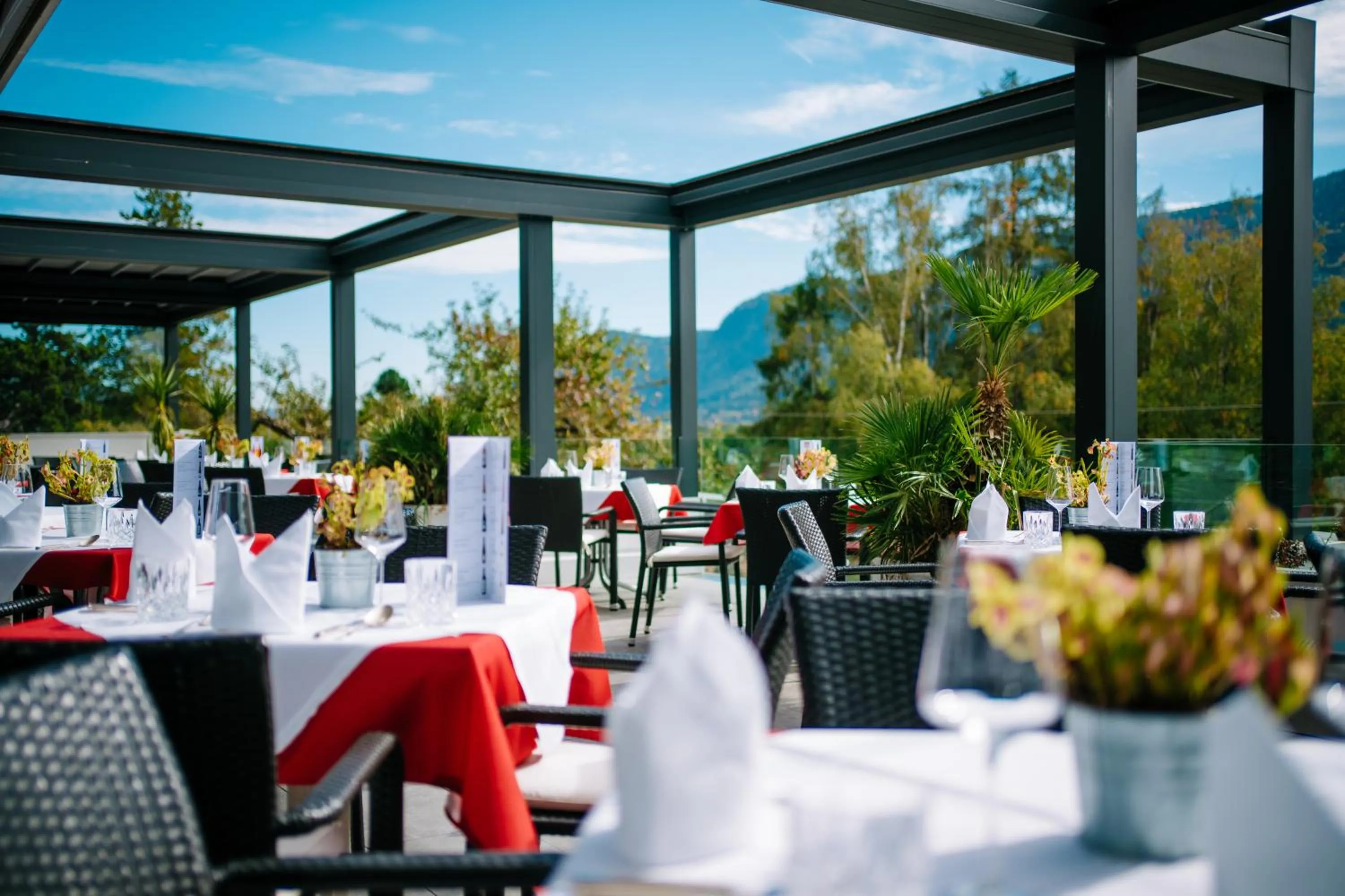 Restaurant/places to eat in Seehotel Hoffmann