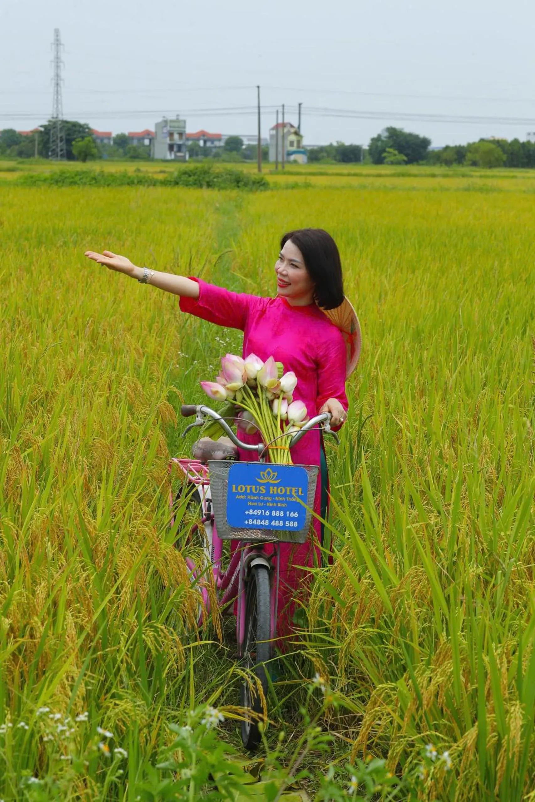 View (from property/room) in Lotus Hotel Ninh Bình