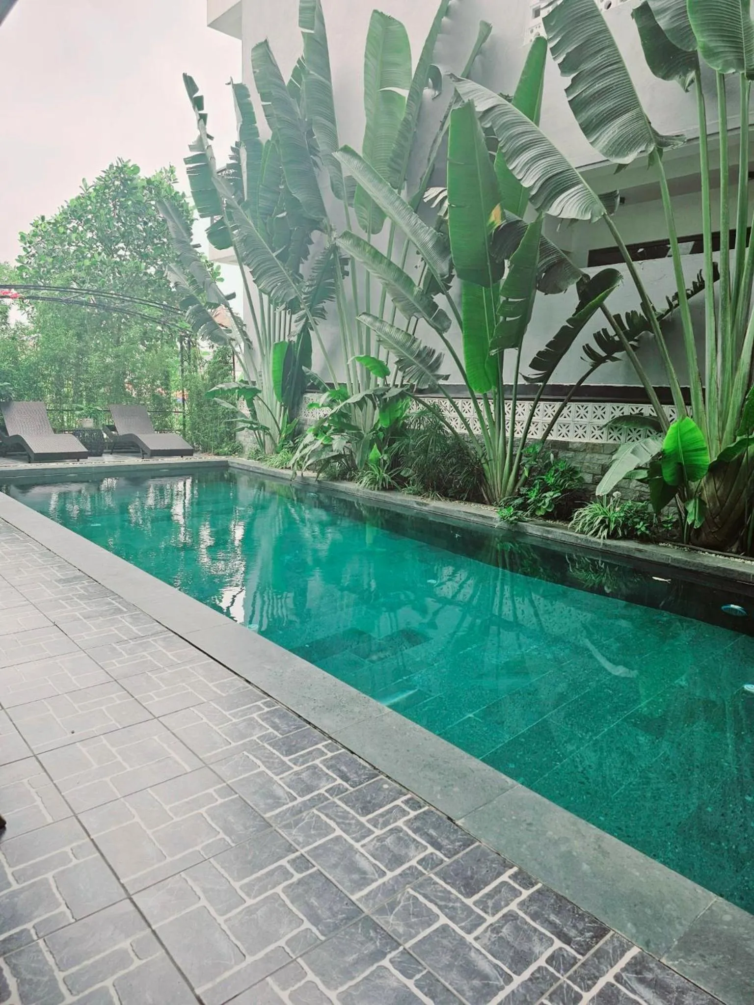 Swimming pool in Lotus Hotel Ninh Bình