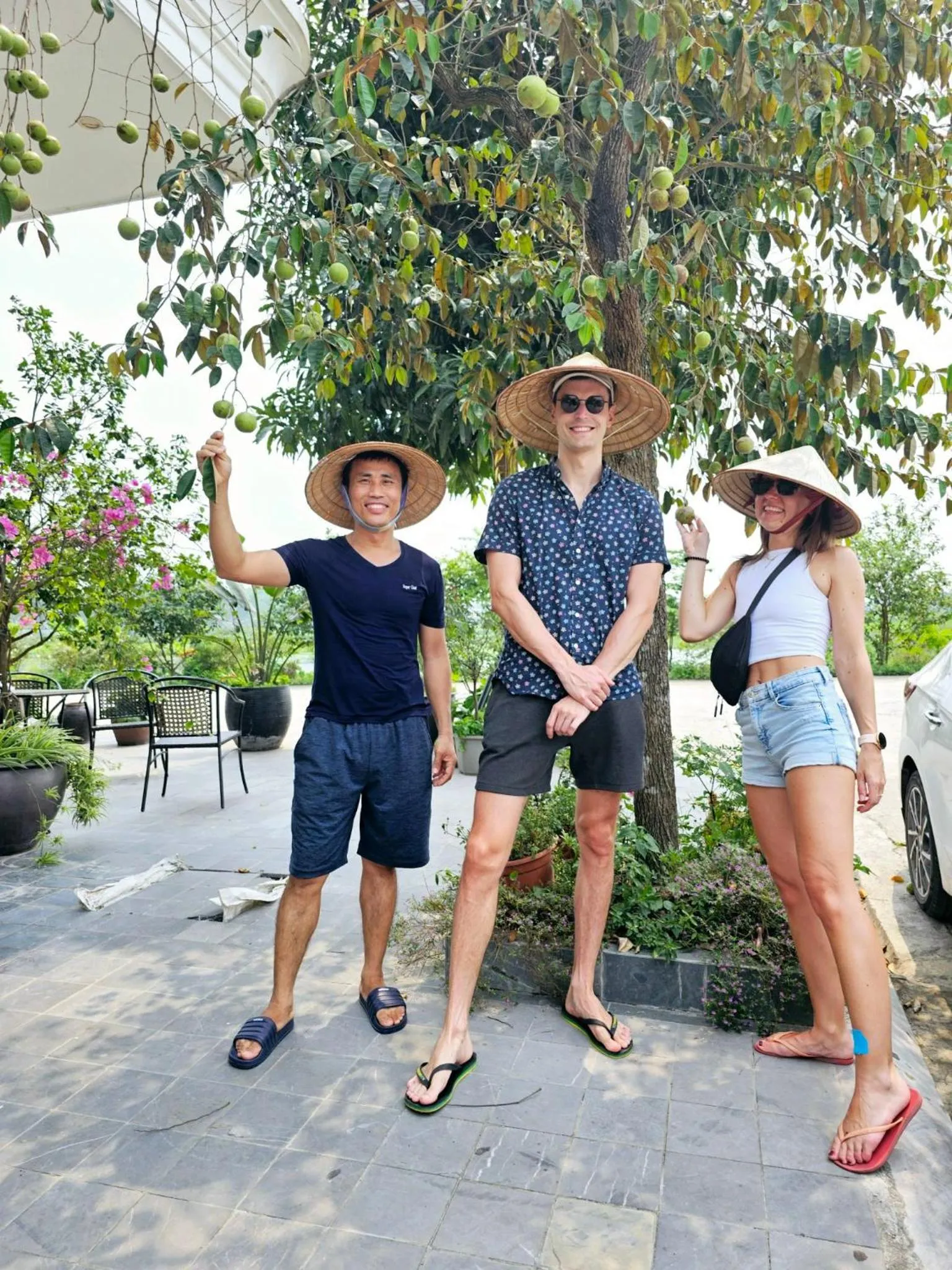 Property building in Lotus Hotel Ninh Bình