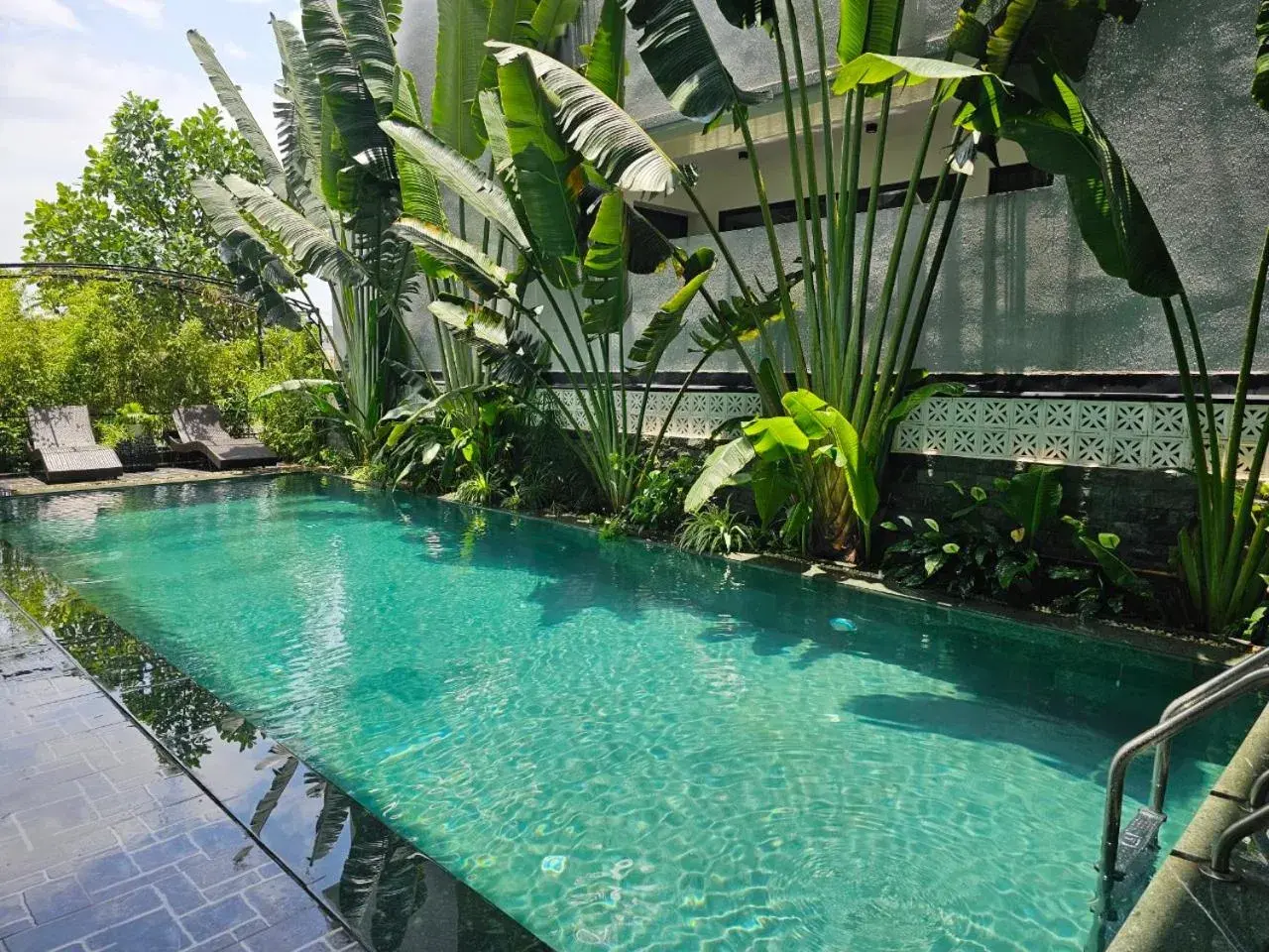 Swimming pool in Lotus Hotel Ninh Bình Swimming pool in Lotus Hotel Ninh Bình