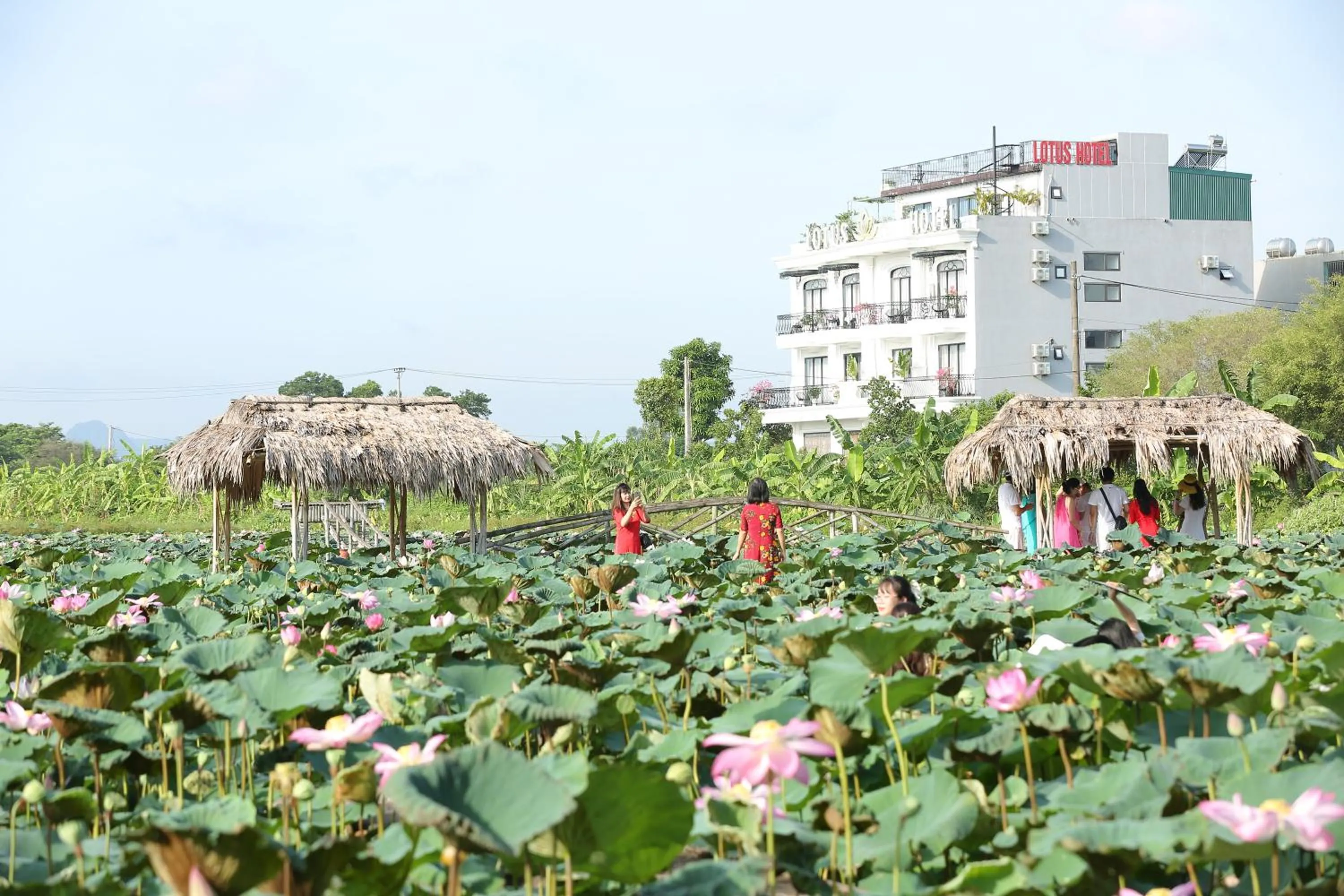 Natural landscape in Lotus Hotel Ninh Bình