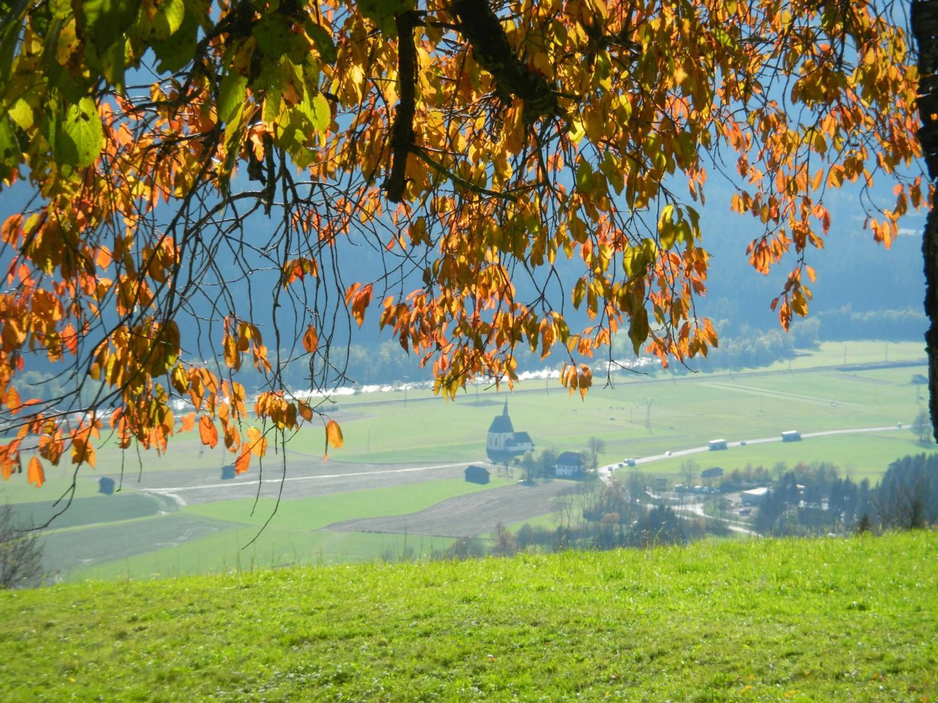 Natural landscape in Hotel Berghof