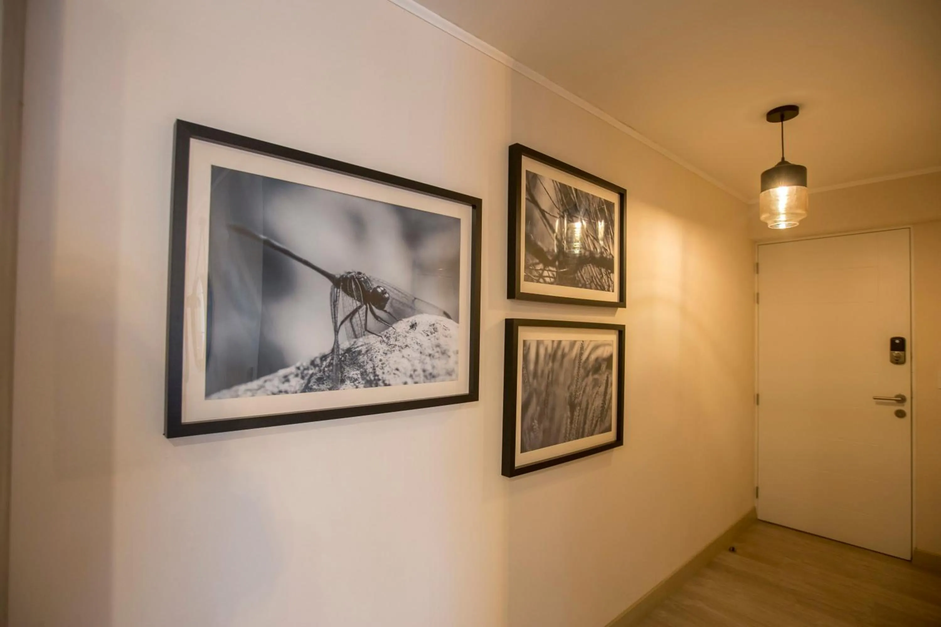 Osma by Wynwood House