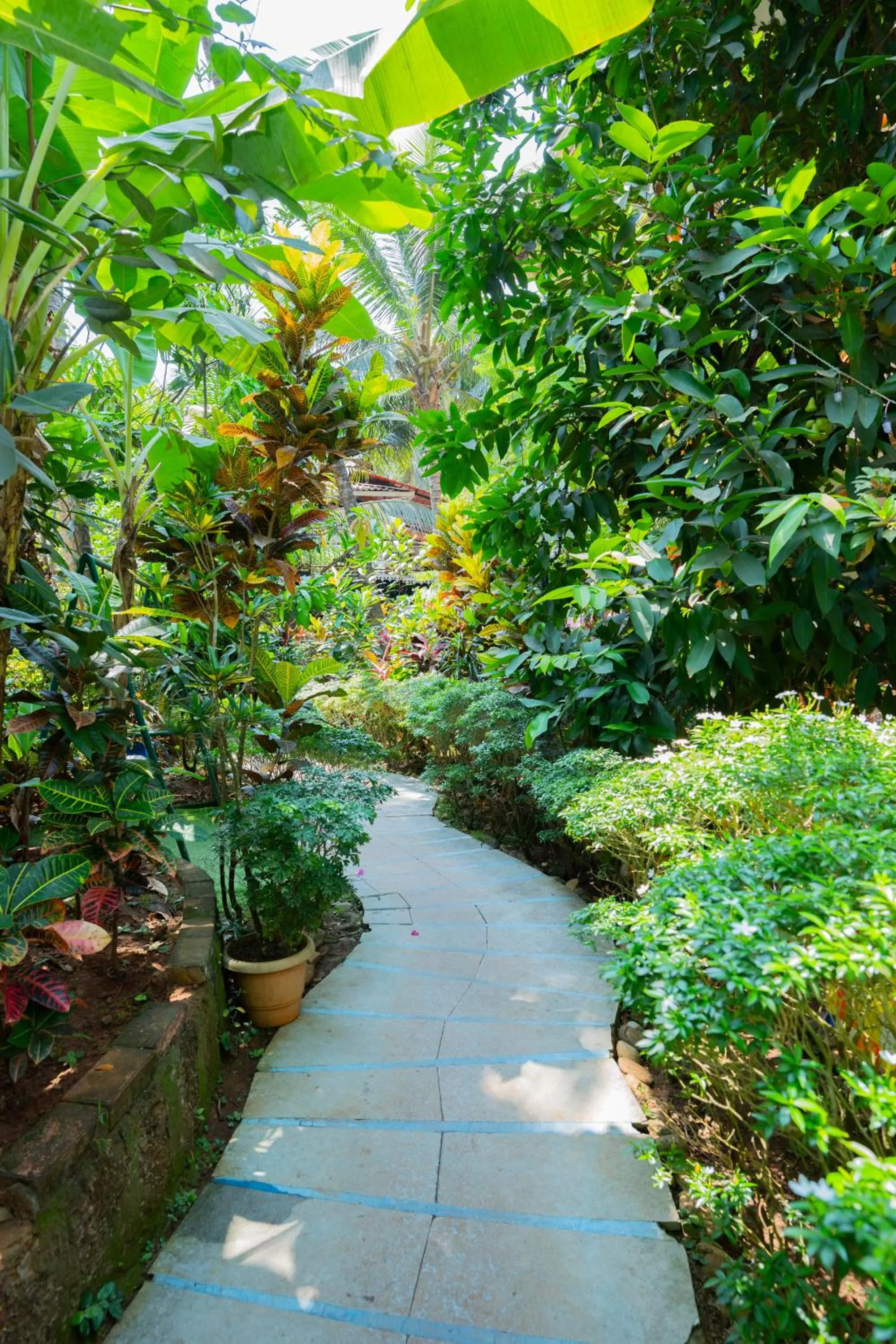 Resort Palmeiras Dourado