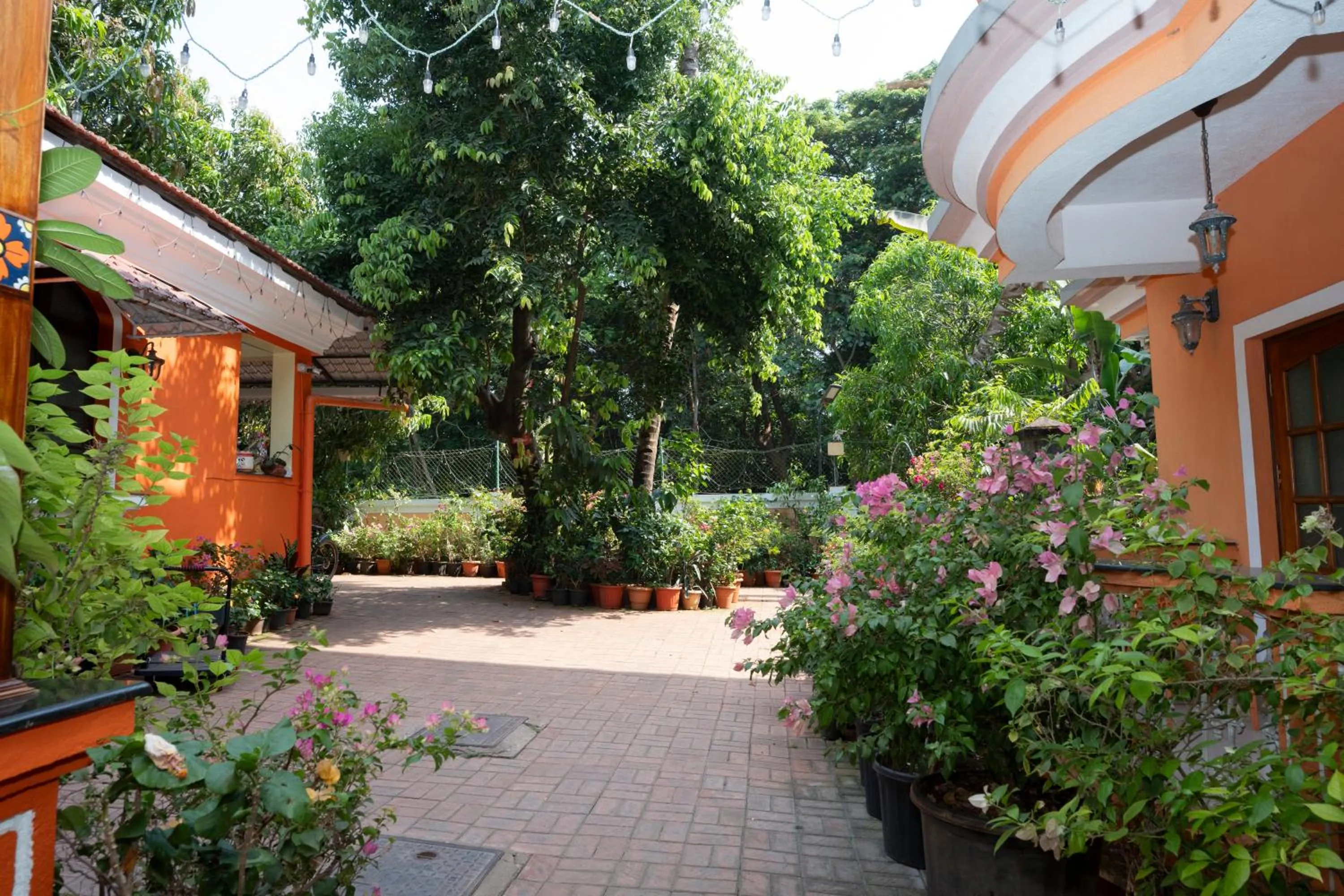 Garden view in Resort Palmeiras Dourado