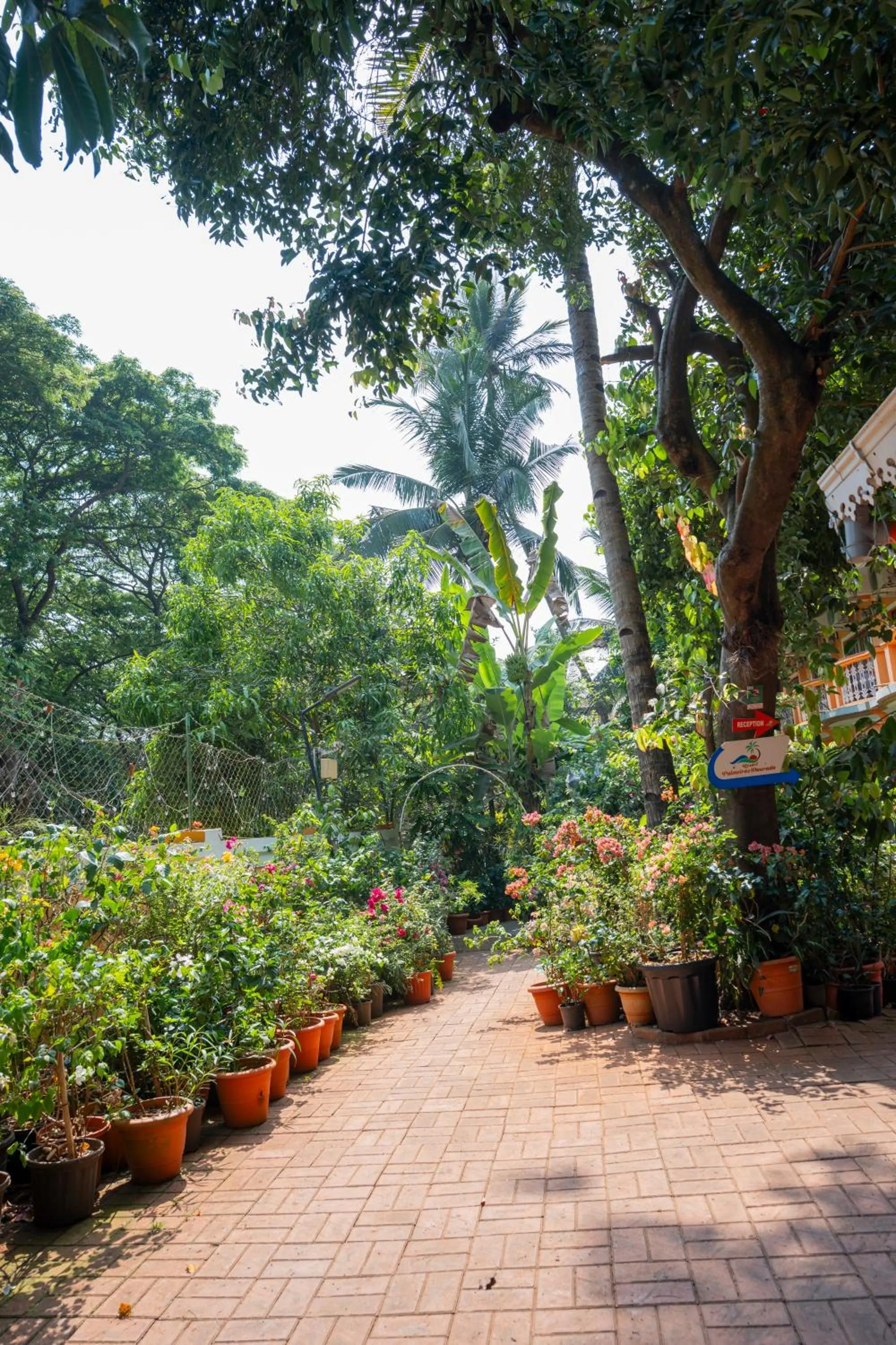 Resort Palmeiras Dourado