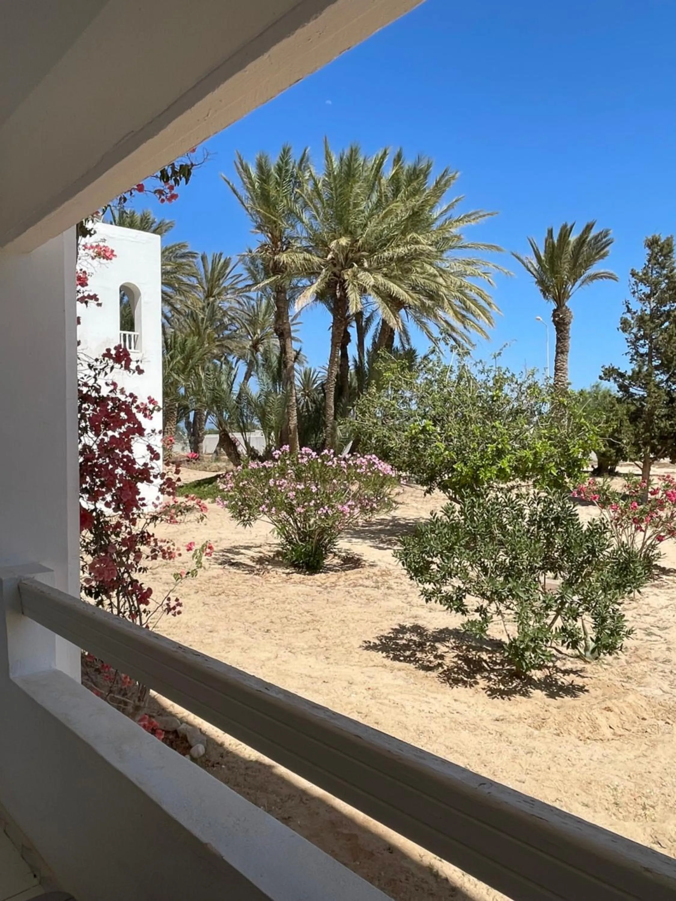 Garden view in Hotel Bougainvillier Djerba