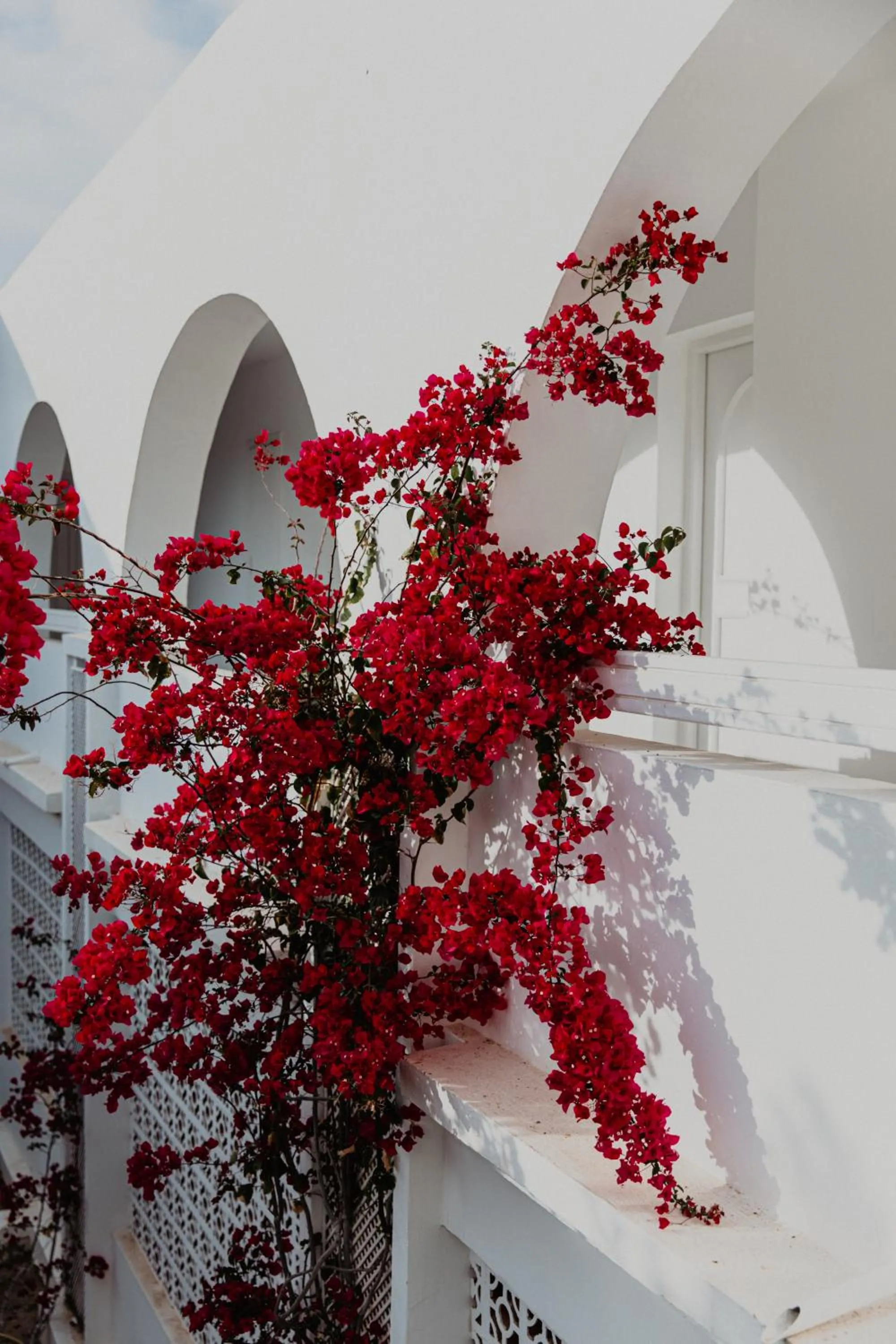 Patio in Hotel Bougainvillier Djerba