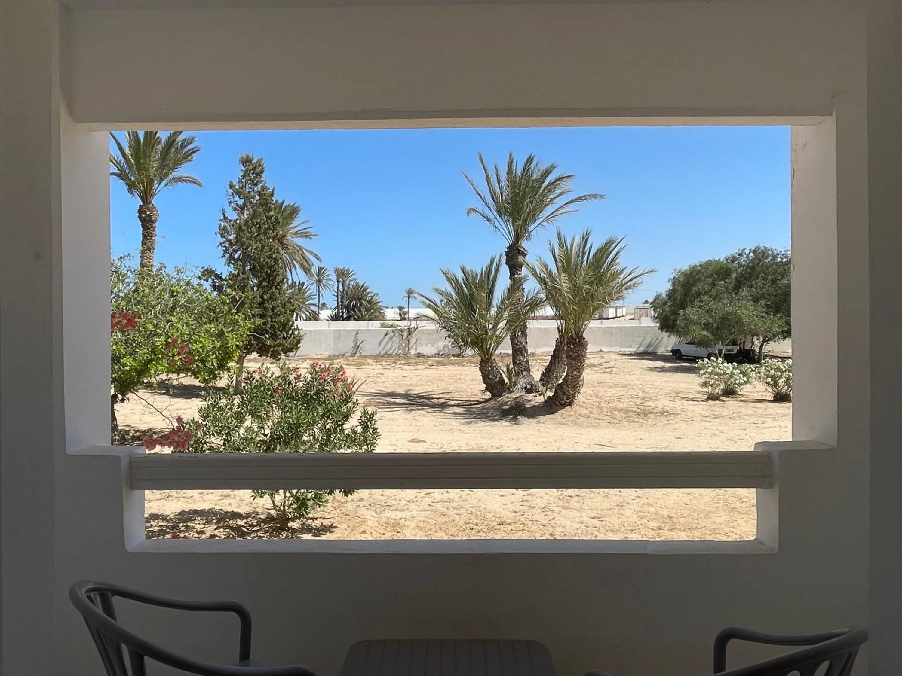 Garden in Hotel Bougainvillier Djerba