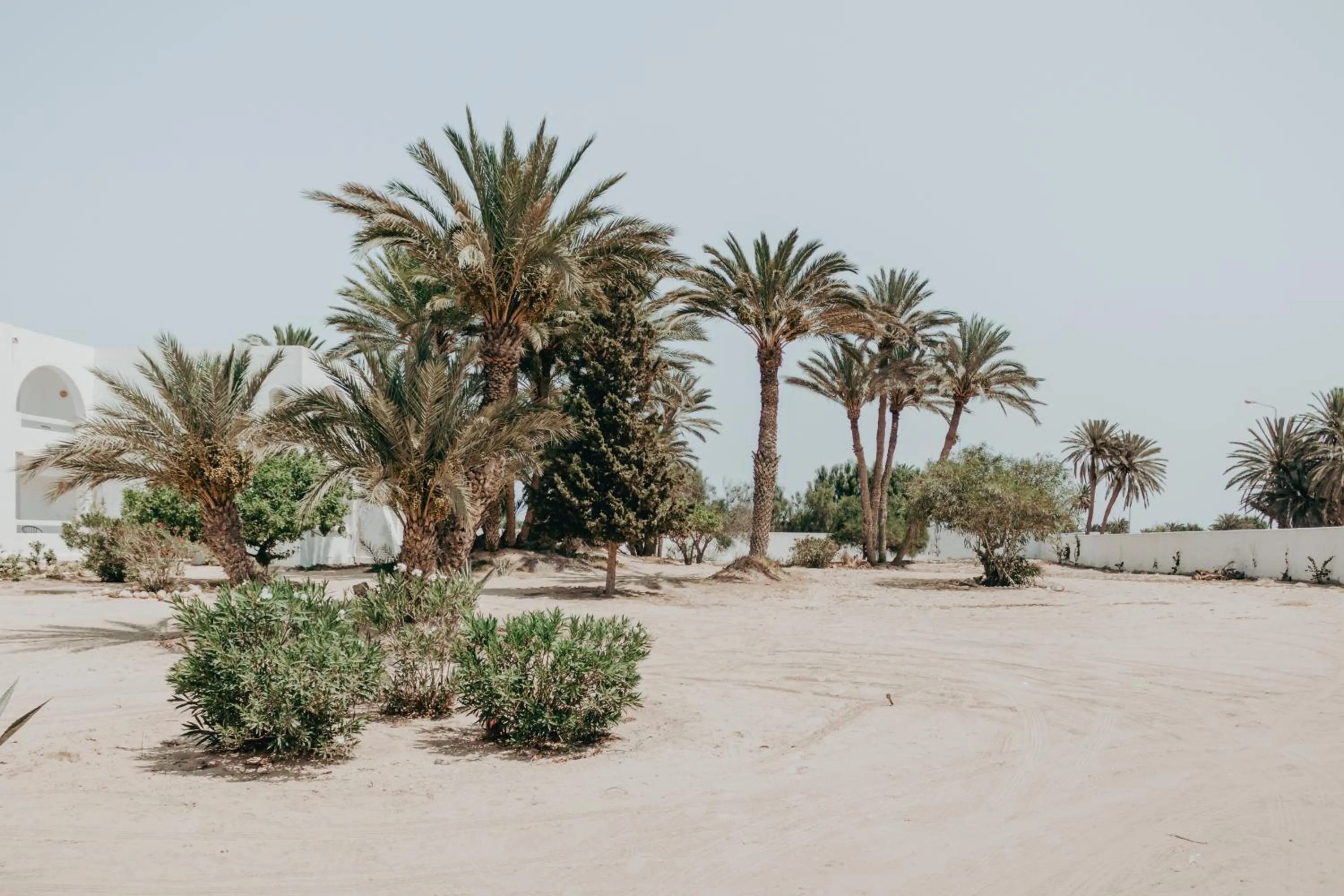 Spring in Hotel Bougainvillier Djerba