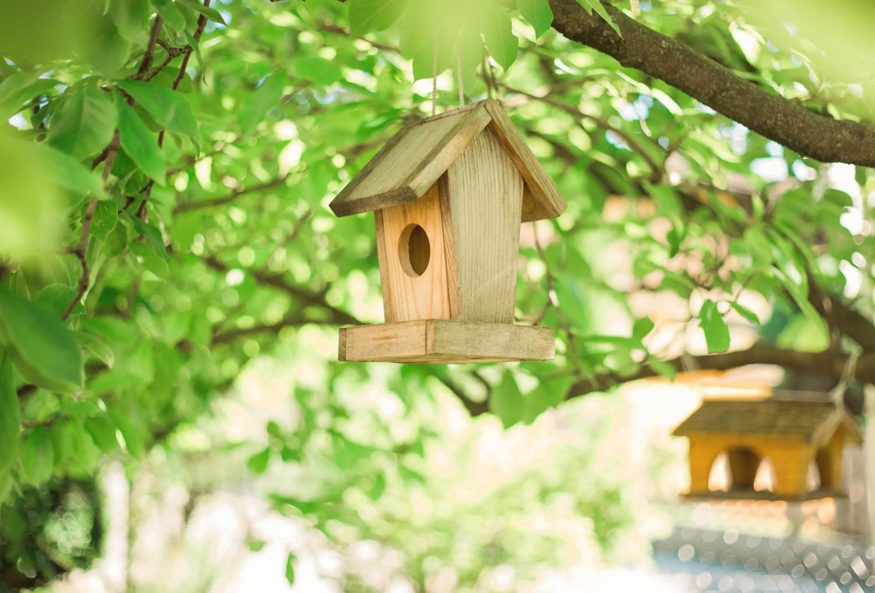 Garden in Hotel Gasthof Zum Kirchenwirt