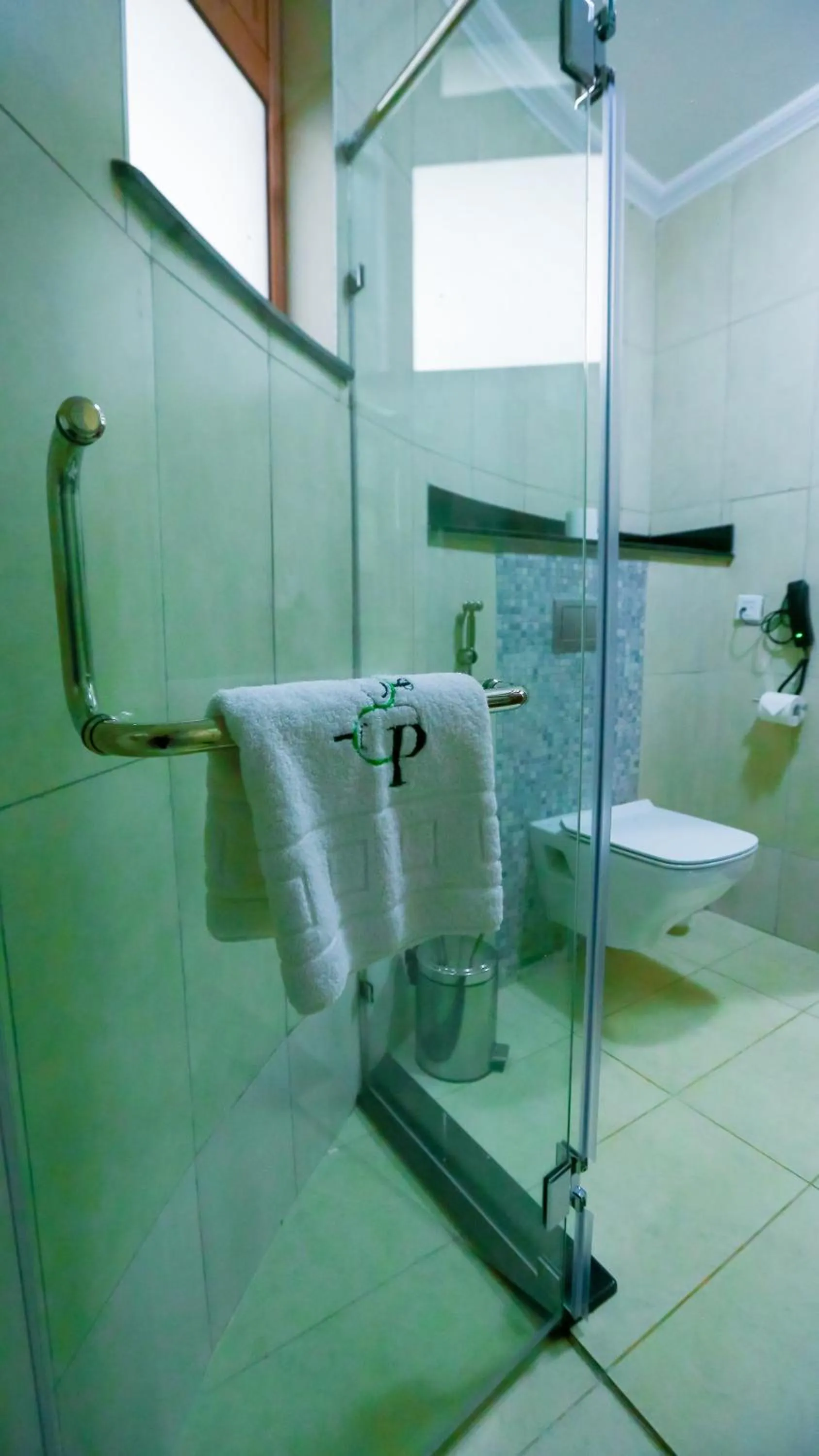 Shower in Aberdare Prestige & Royal Cottages