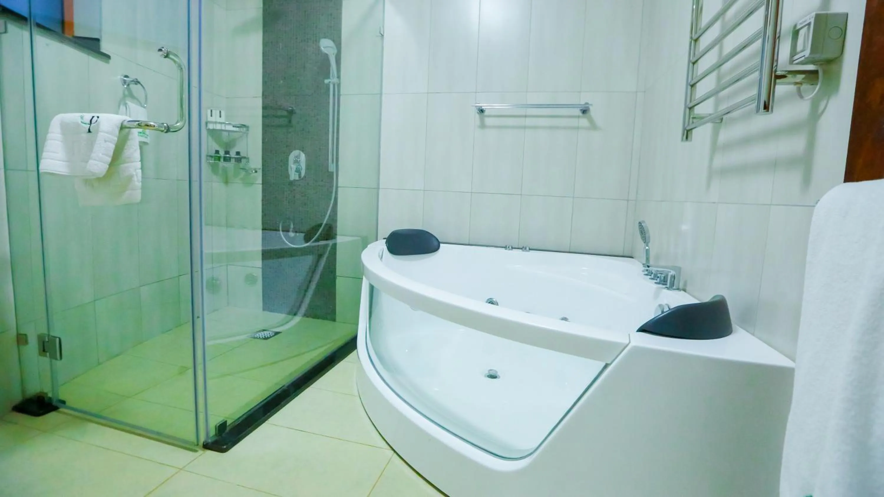 Shower in Aberdare Prestige & Royal Cottages