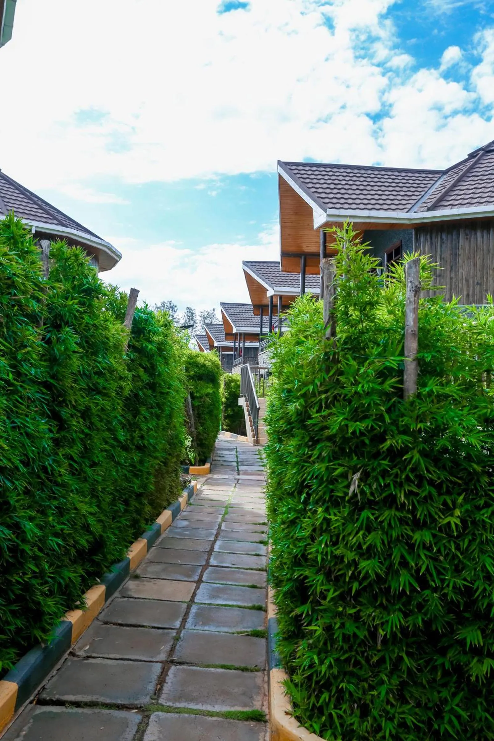 Garden view in Aberdare Prestige & Royal Cottages