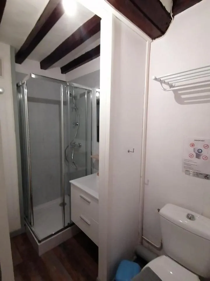 les hirondelles bleues