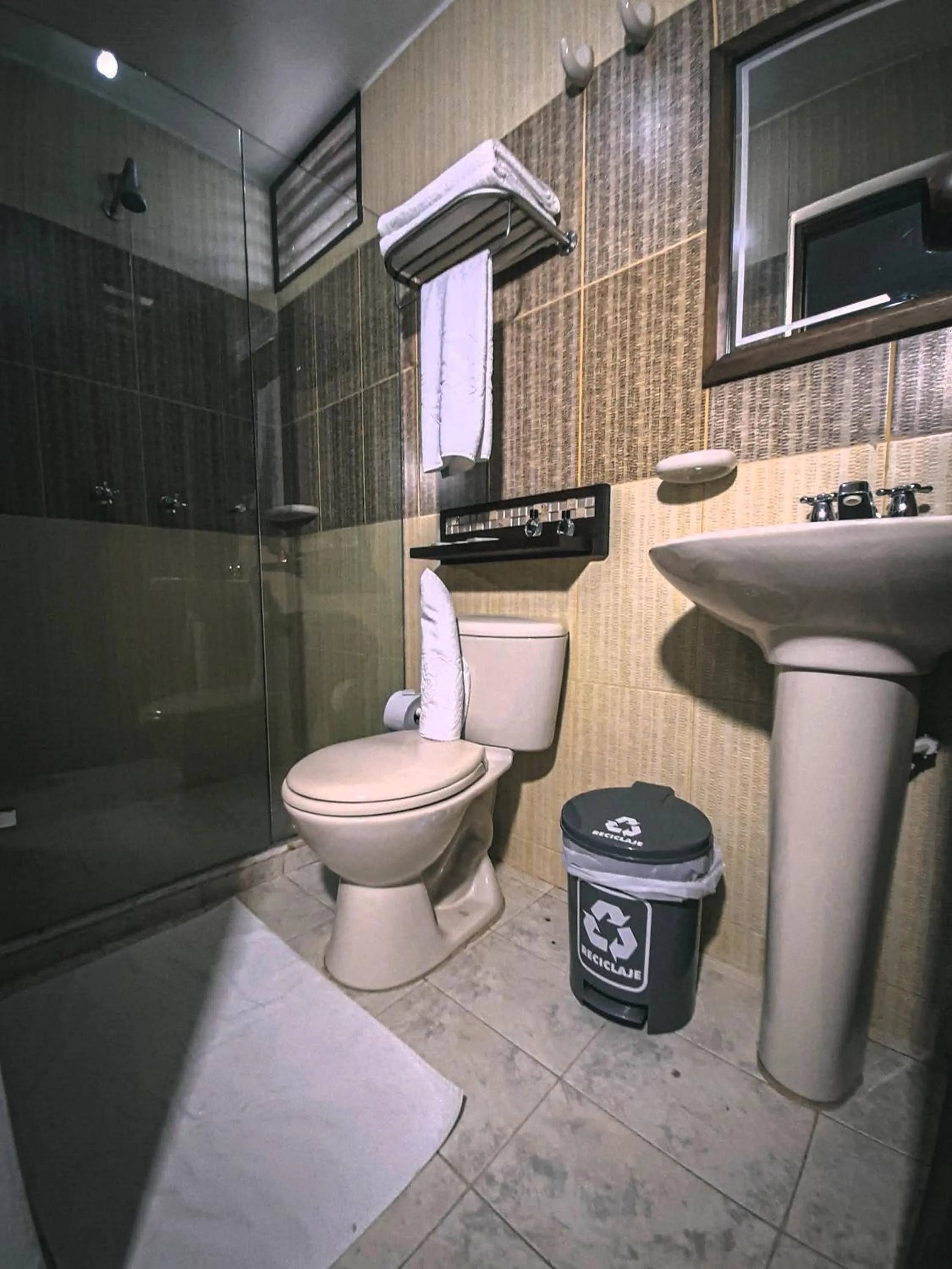 Bathroom in Hotel Las Rocas Resort Villanueva