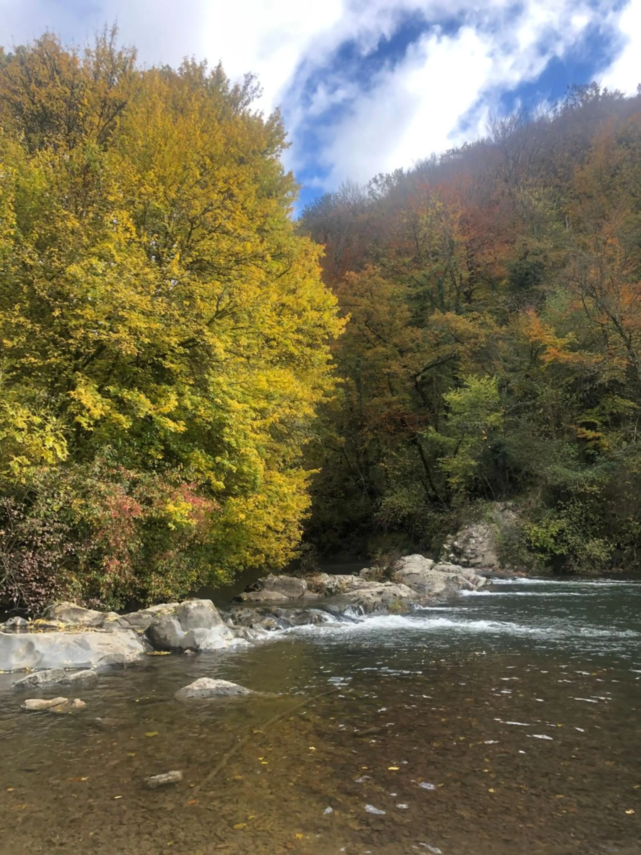Natural landscape in Casa Rural Ecológica Kaaño Etxea