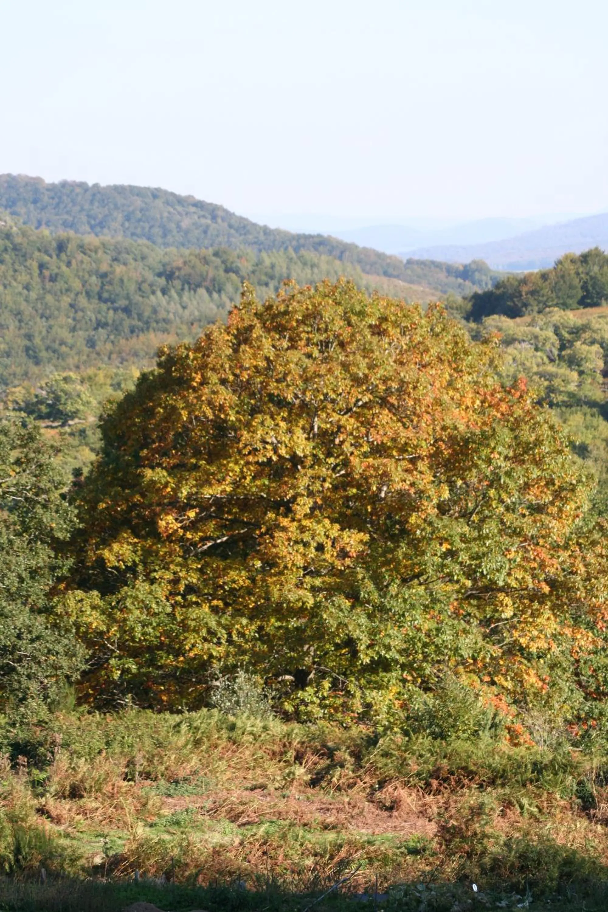 Garden in Casa Rural Ecológica Kaaño Etxea