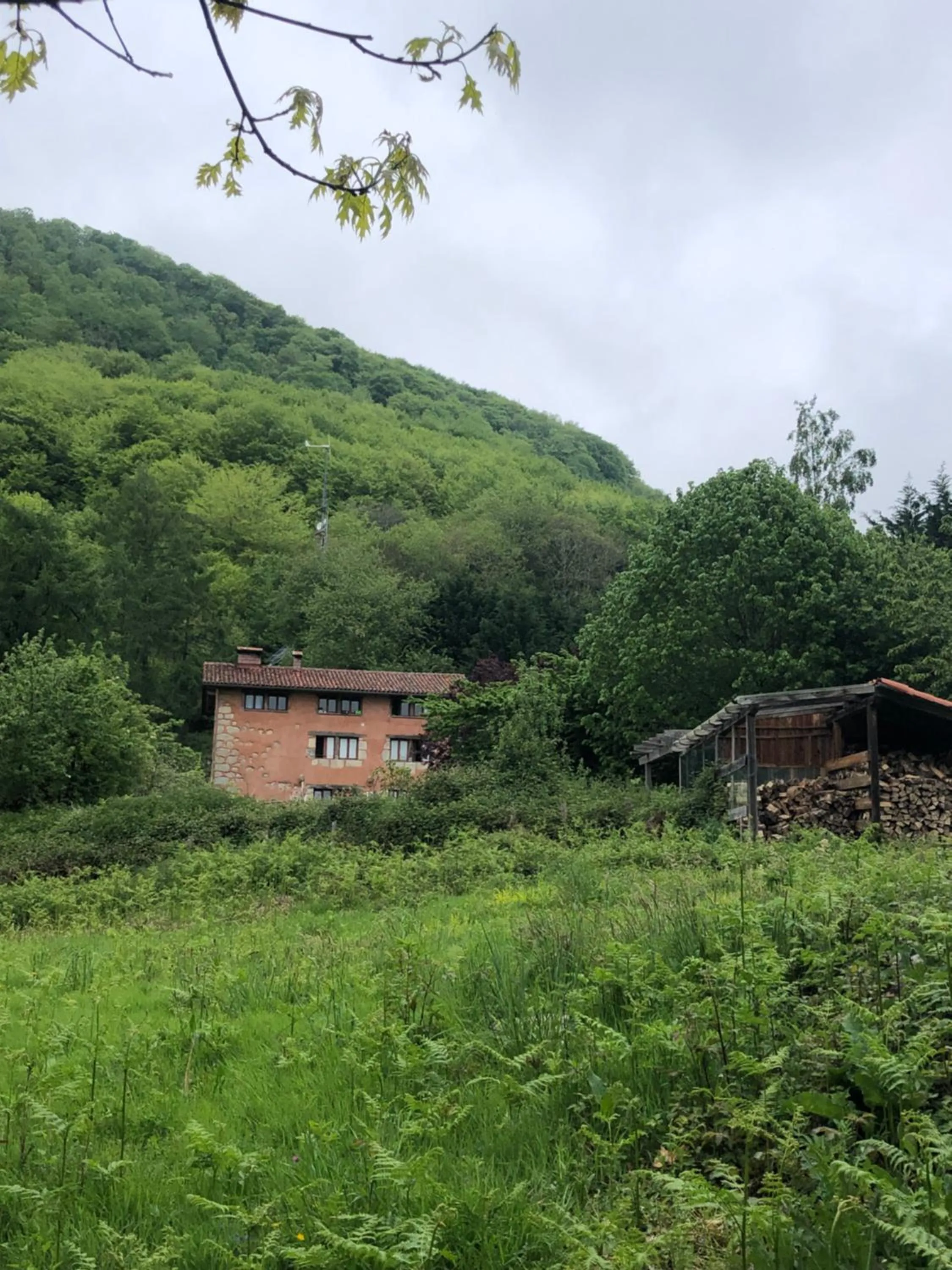 Natural landscape in Casa Rural Ecológica Kaaño Etxea