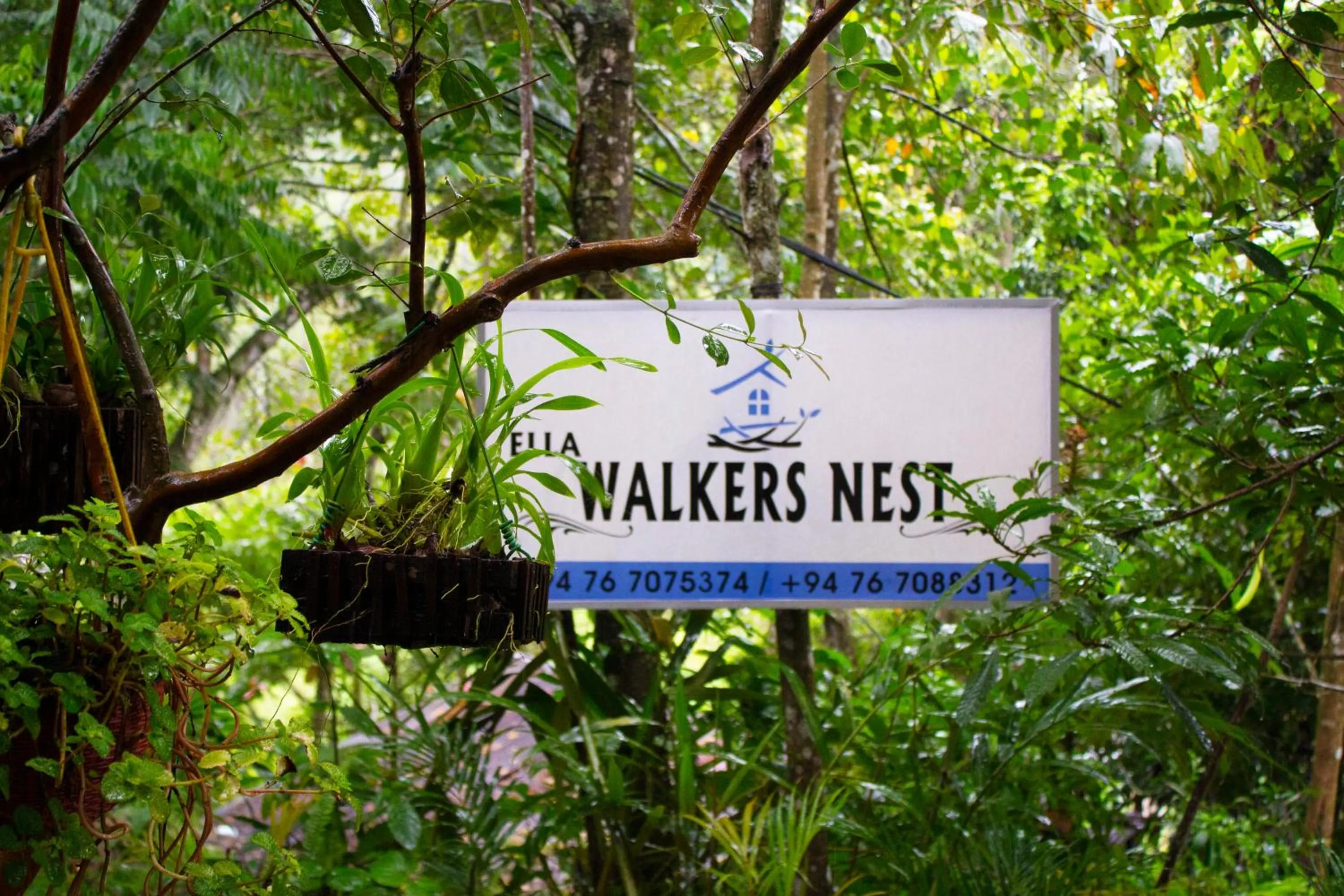 Ella Walkers Nest