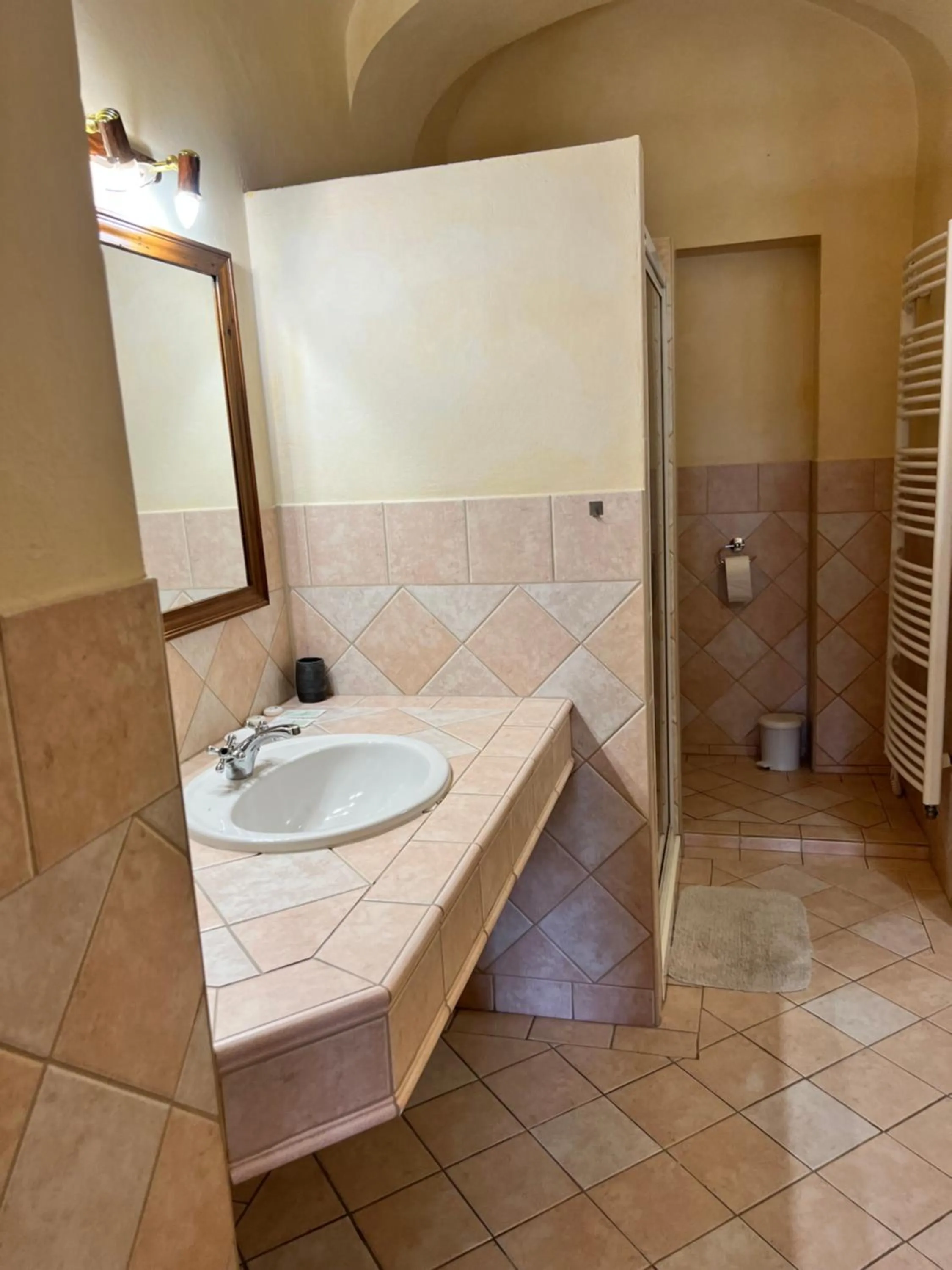 Bathroom in Hotel Maxim