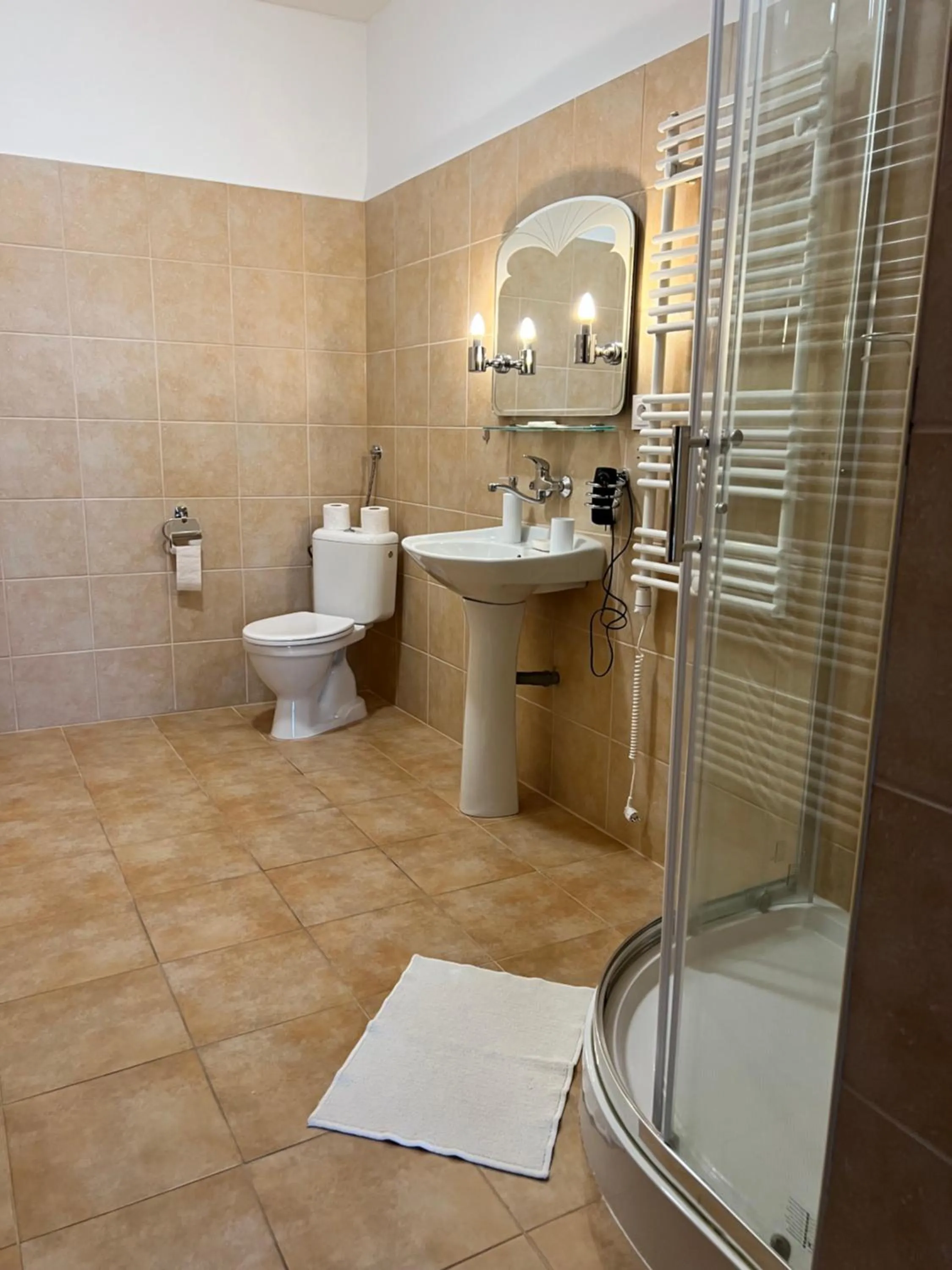 Bathroom in Hotel Maxim