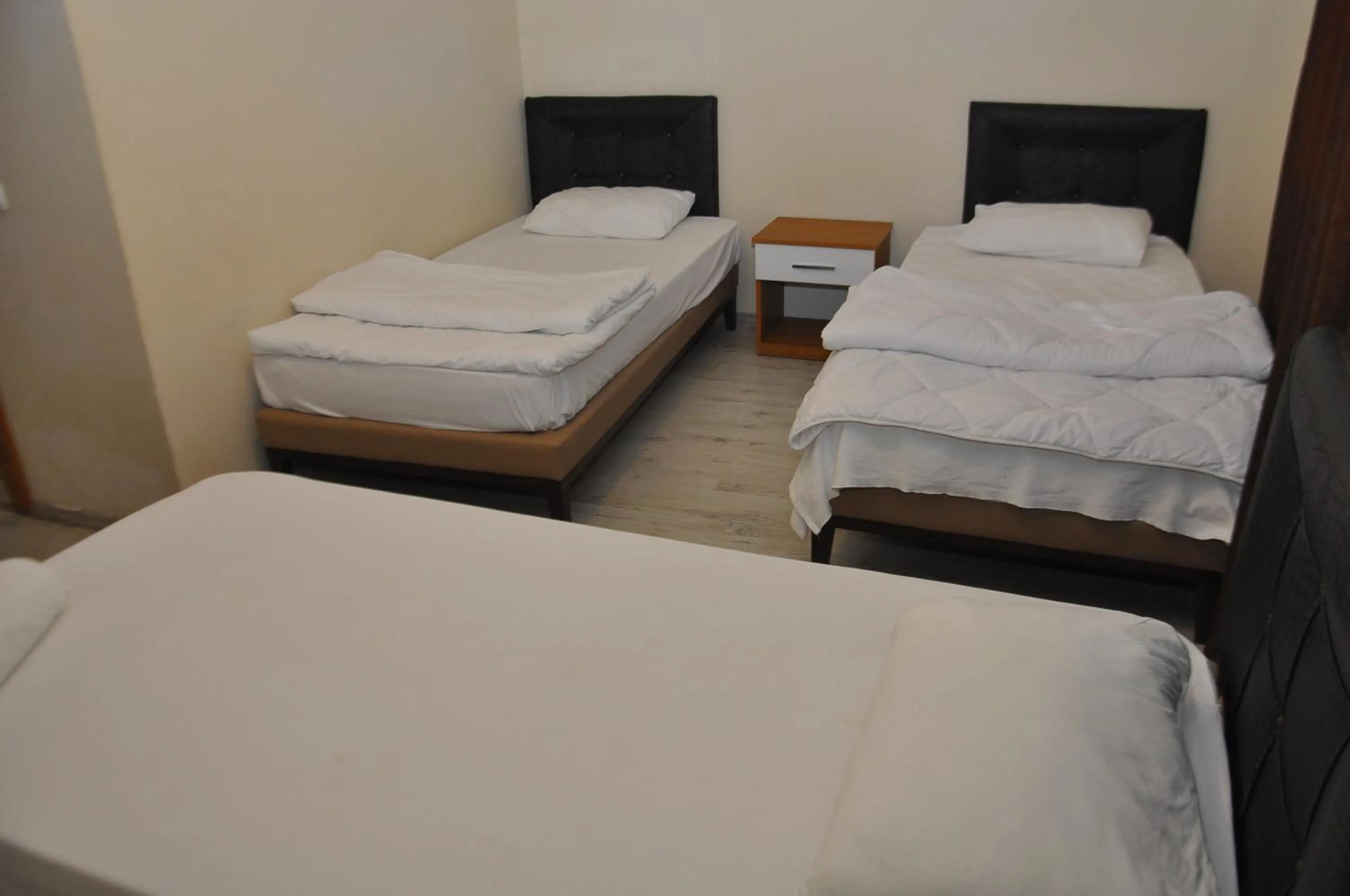 Double or Twin Room with Private Bathroom - single occupancy in SİES OTEL