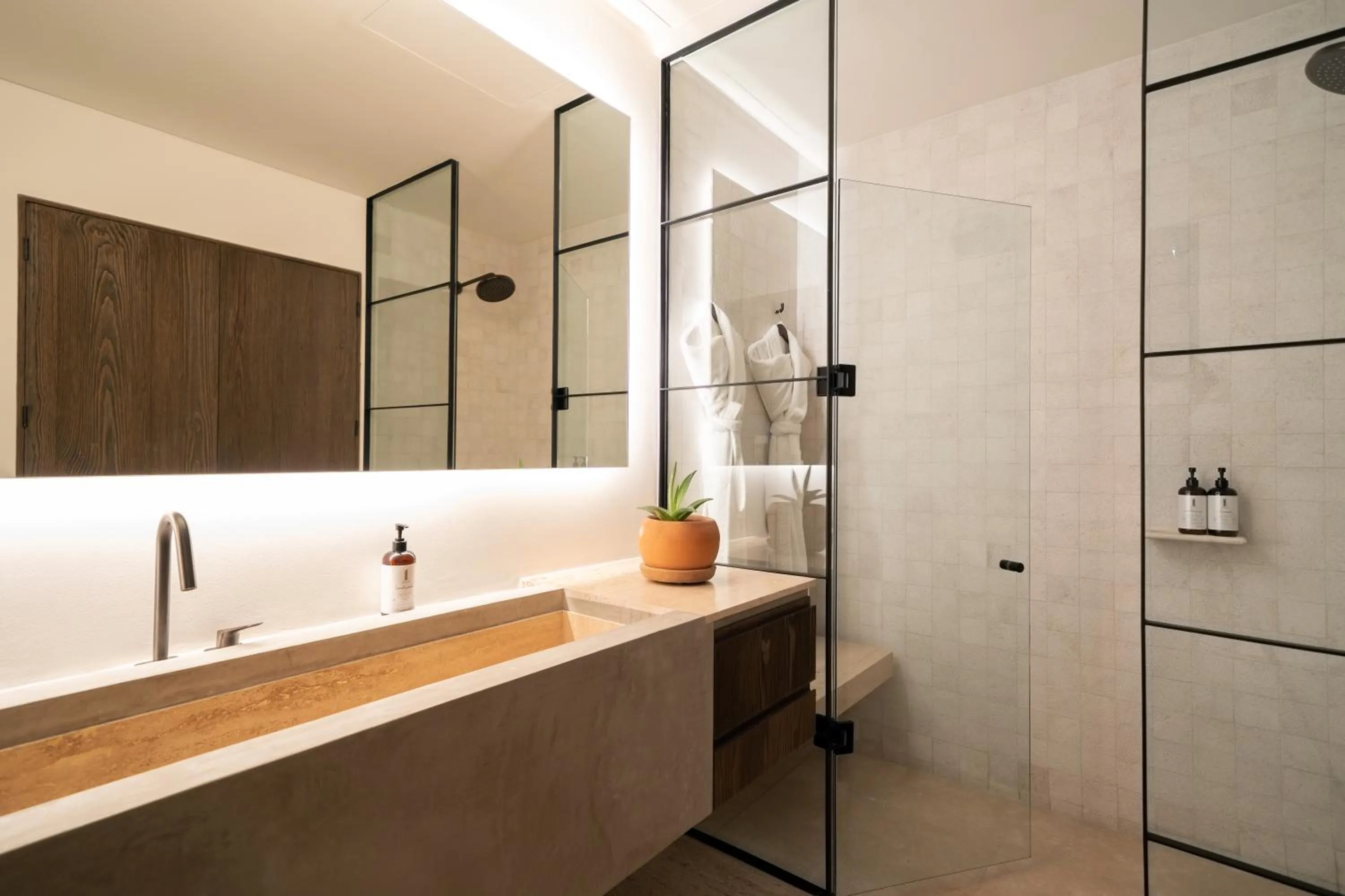 Shower in 1 Homes Preview Cabo