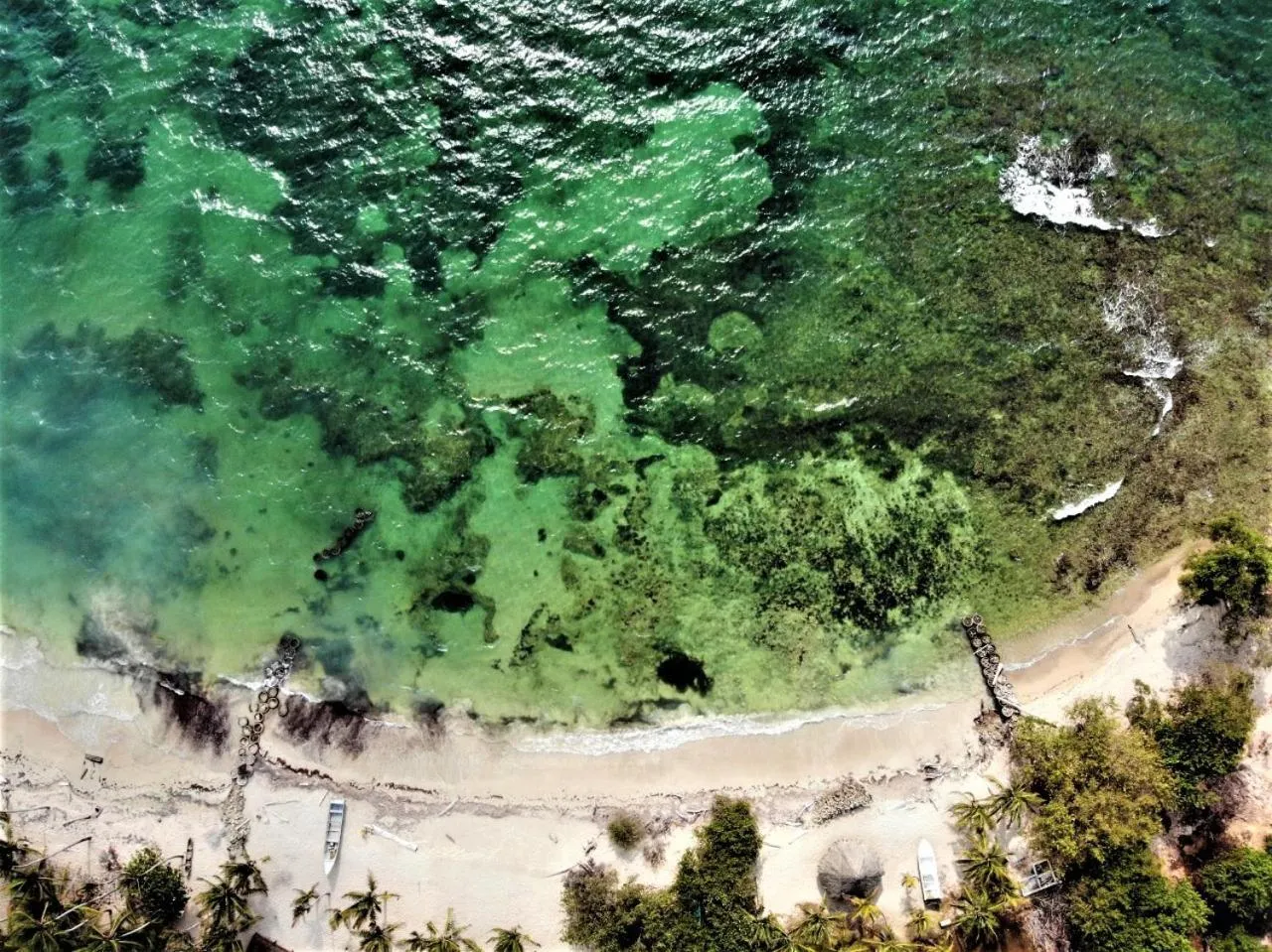 Beach in Isla Fuerte - Wiji Island House