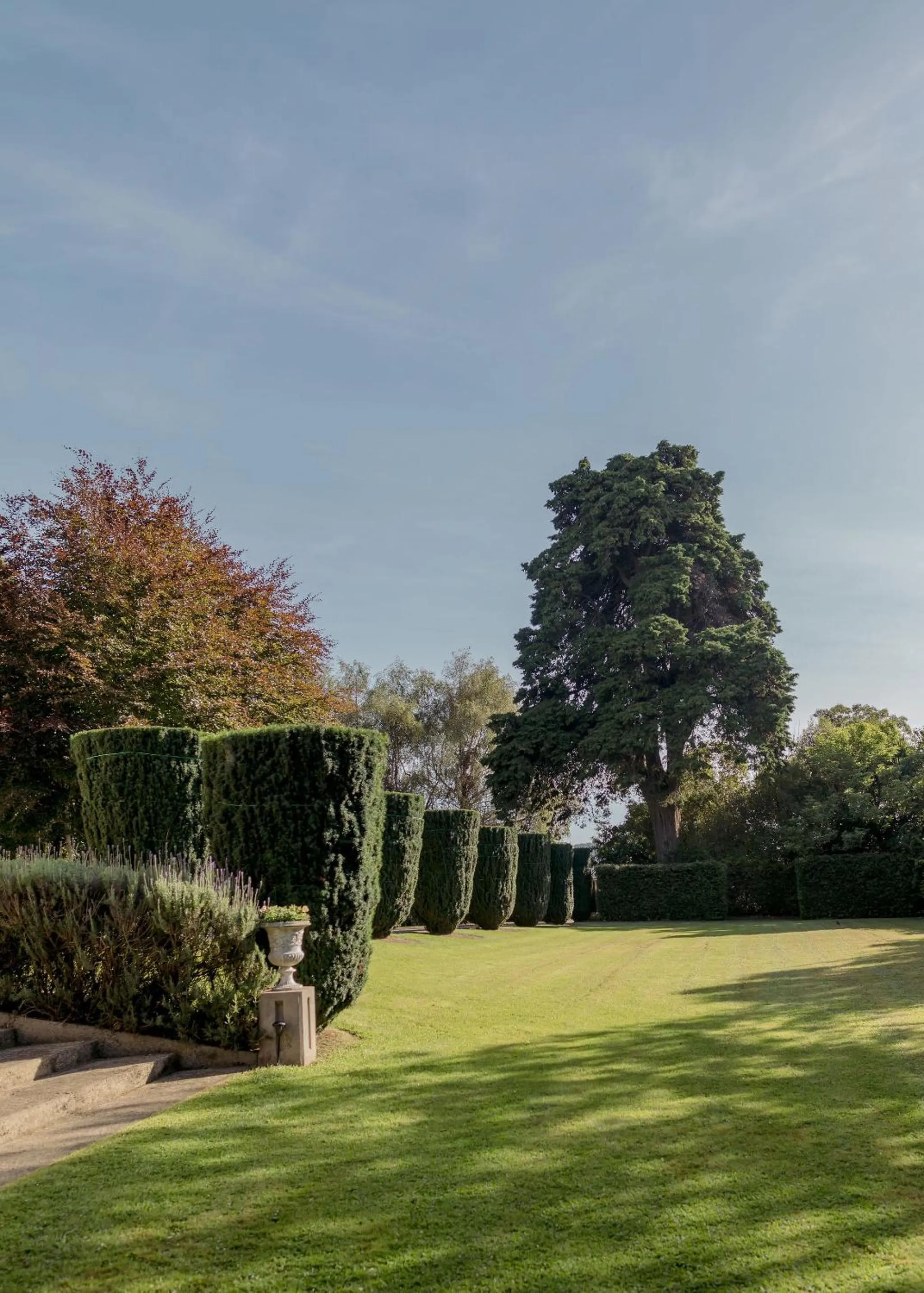 Garden in Casa Nova House