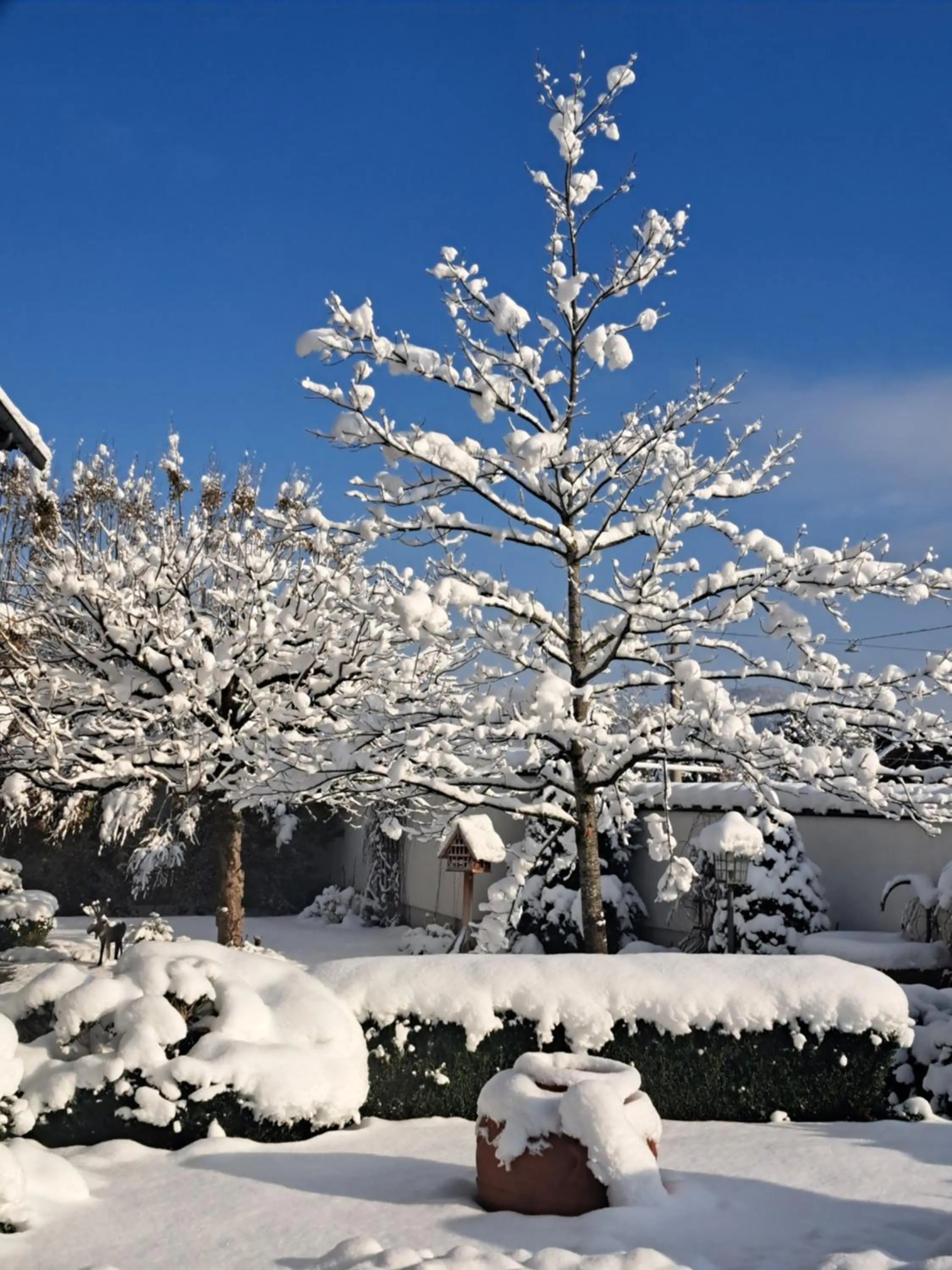 Property building in Hotel Gasthof Brandstätter