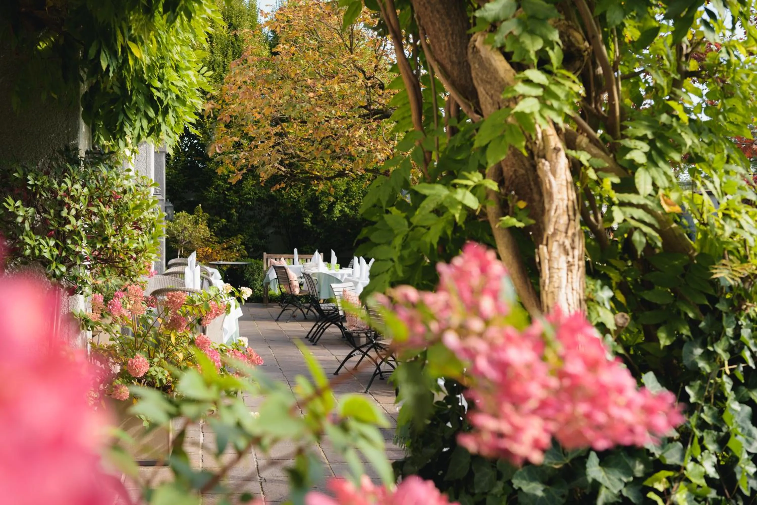 Balcony/Terrace in Hotel Gasthof Brandstätter