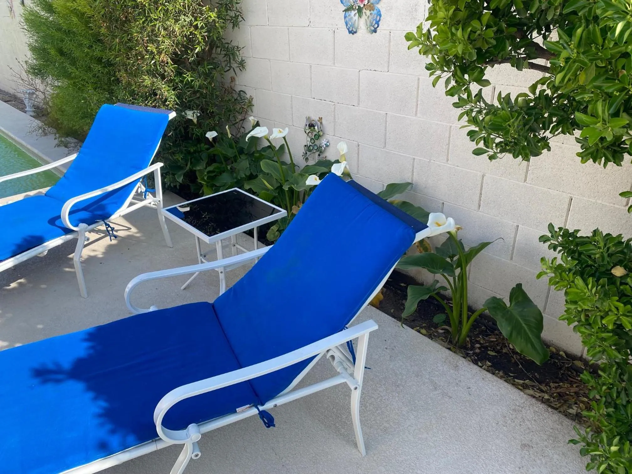 Swimming pool in Luxury 1900 SQ FT House Huge 46 FT Pool & Hot SPA