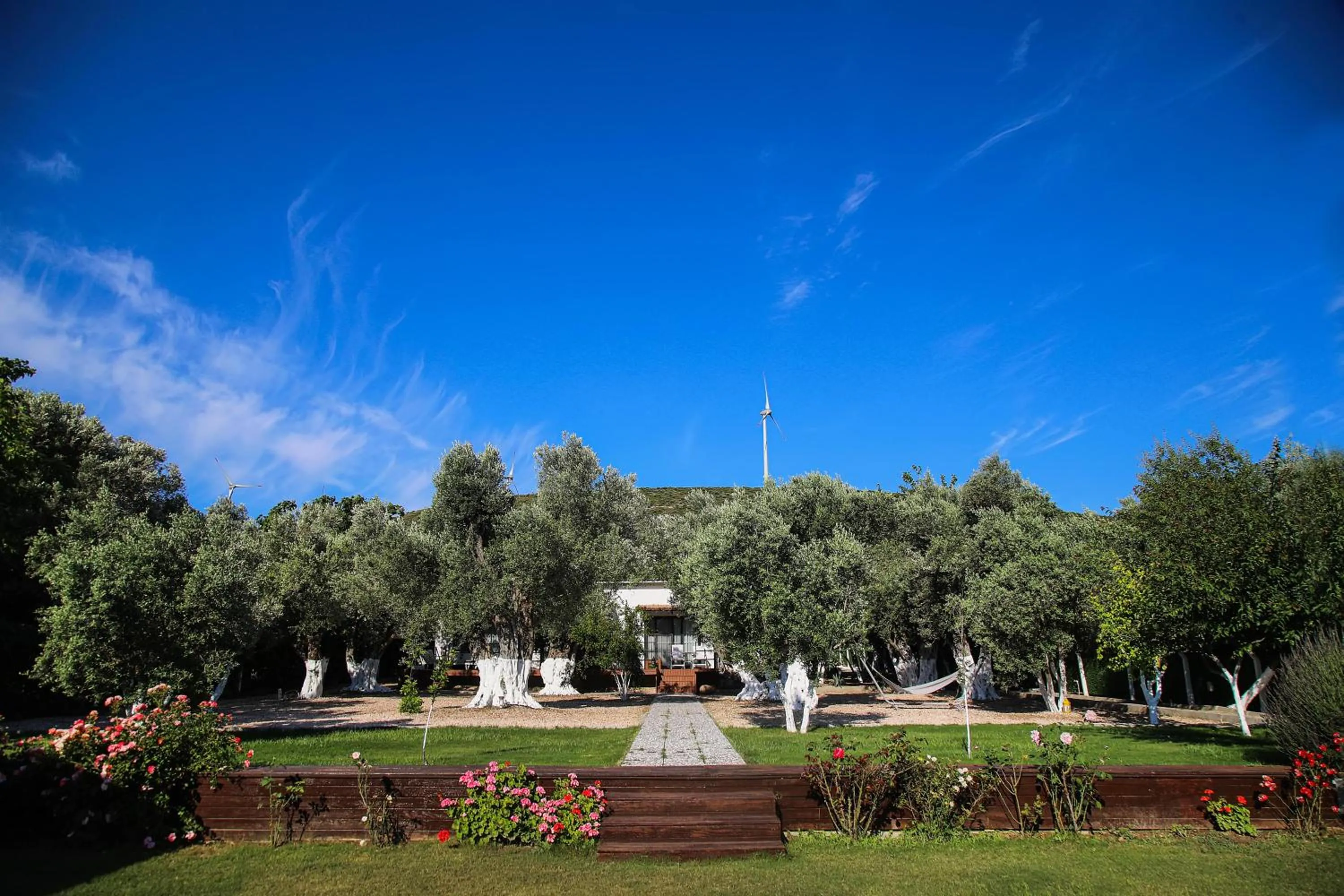 Garden in Enki Suess Alaçatı