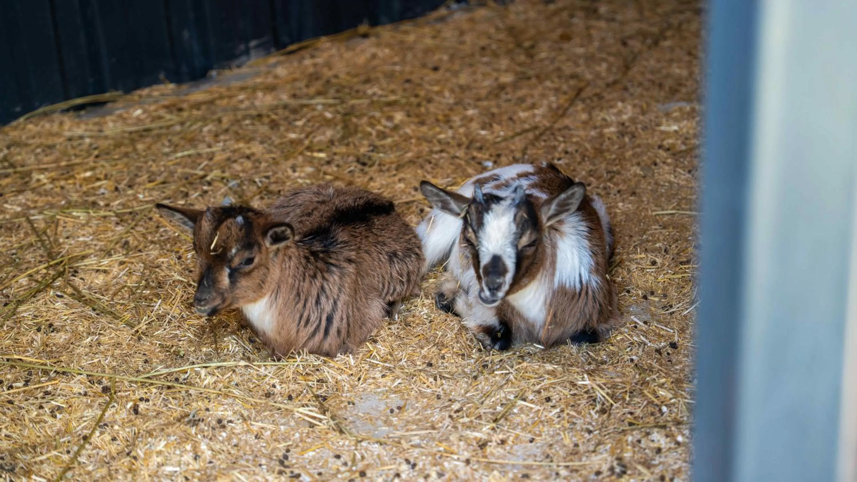 Garden in Enki Suess Alaçatı