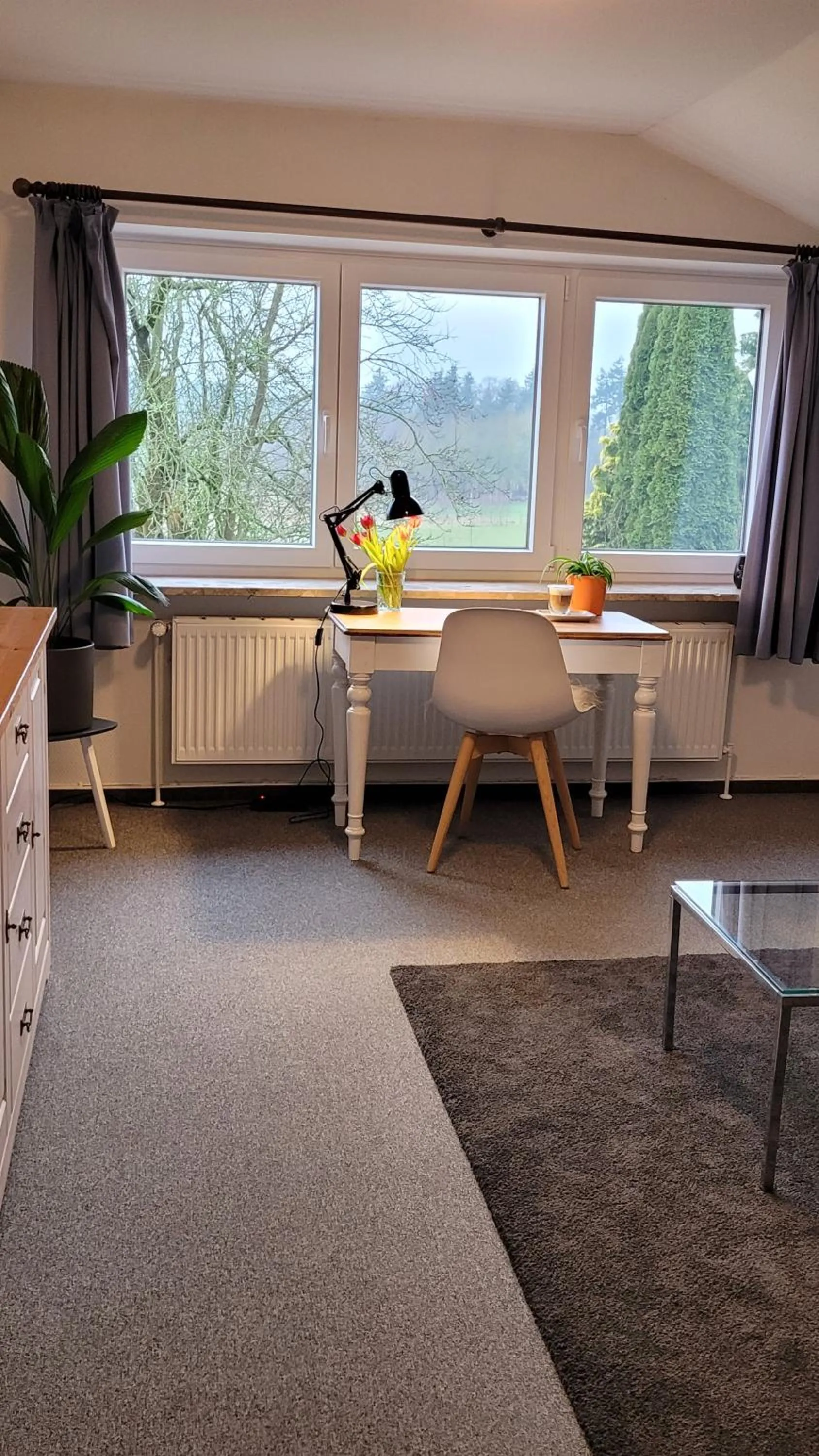 Photo of the whole room in Room and kitchen im Katerberg